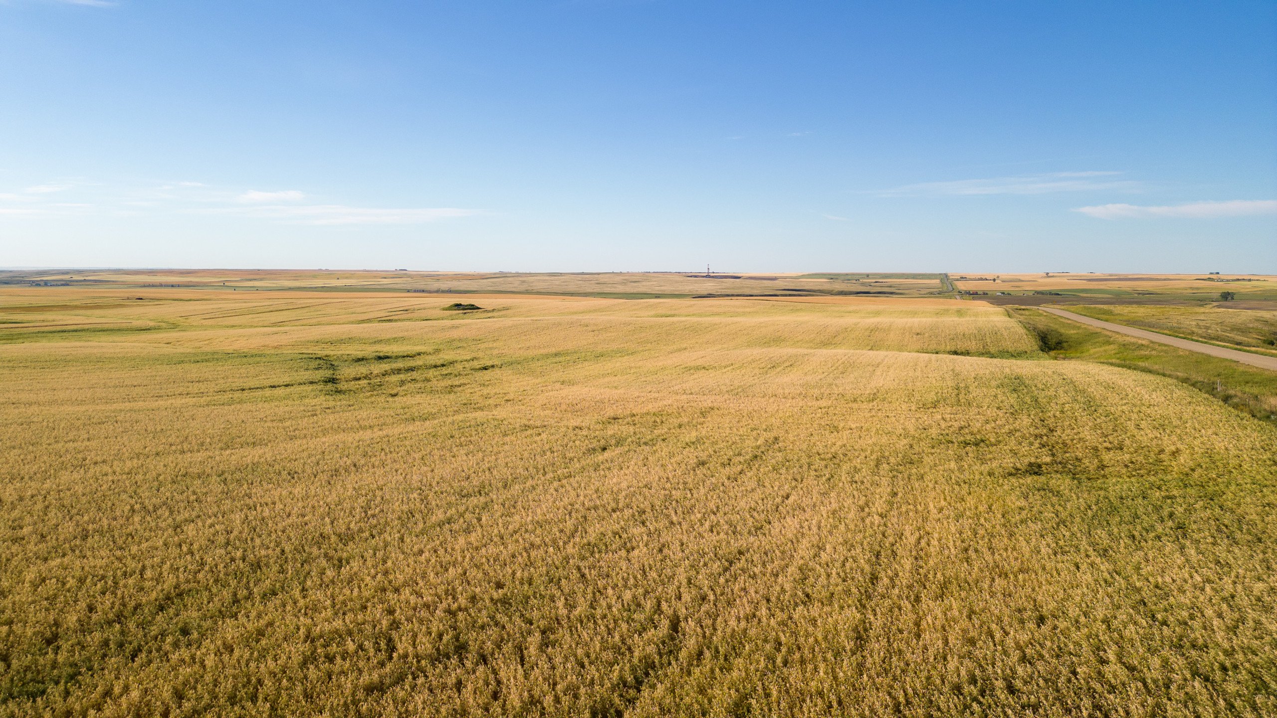 land-williams-county-north-dakota-2034-acres-listing-number-17056-Williston-082-5.jpg