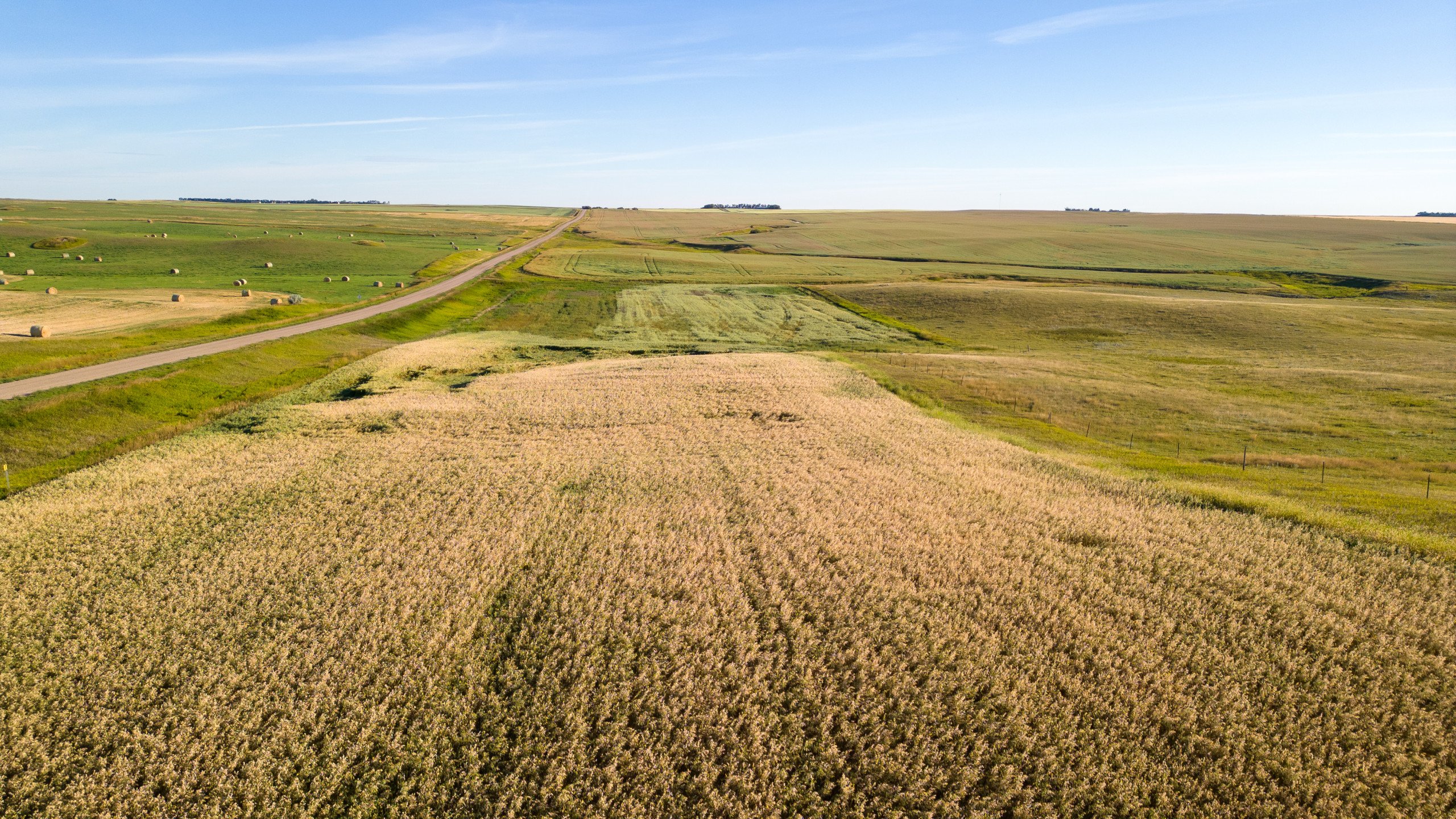 land-williams-county-north-dakota-2034-acres-listing-number-17056-Williston-093-7.jpg