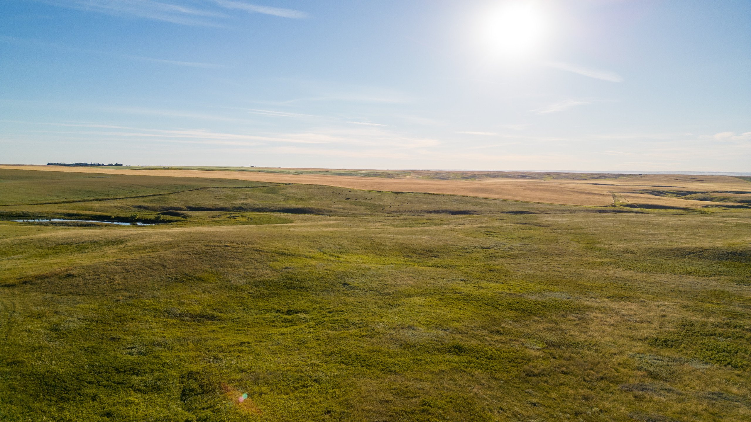 land-williams-county-north-dakota-2034-acres-listing-number-17056-Williston-095-8.jpg