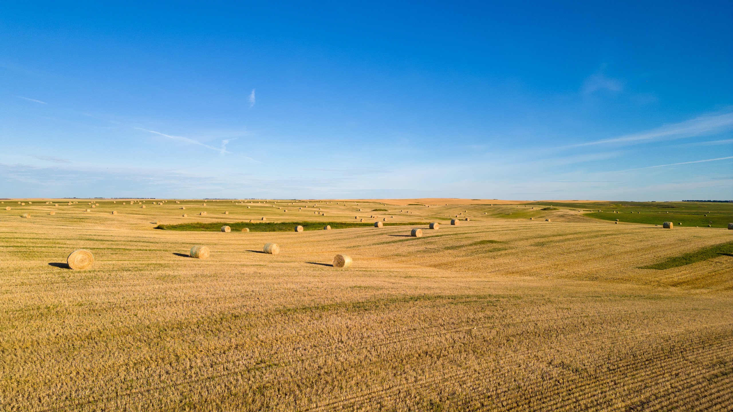 land-williams-county-north-dakota-2034-acres-listing-number-17056-Williston-098-9.jpg