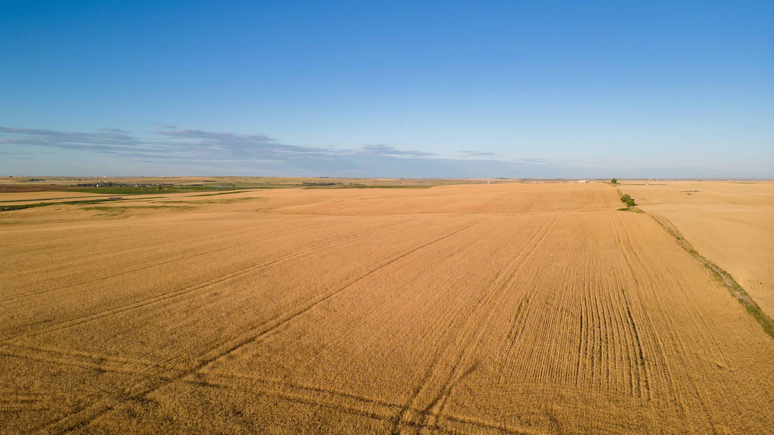 land-williams-county-north-dakota-2034-acres-listing-number-17056-Williston-42-5.jpg