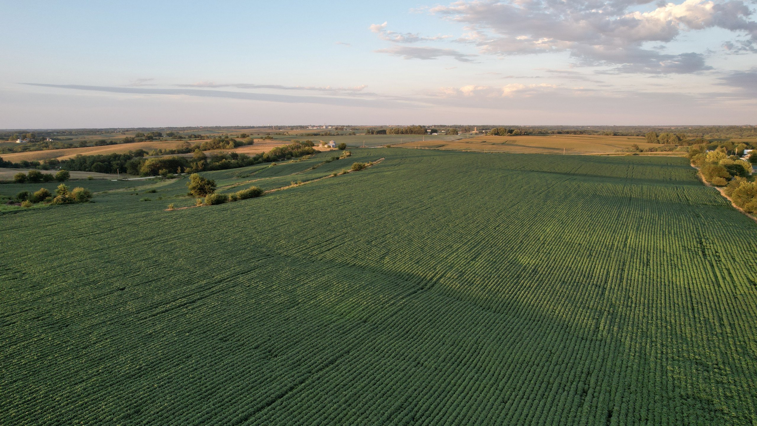 1-perry-street-94th-place-knoxville-50138-DJI_0185-5.jpg