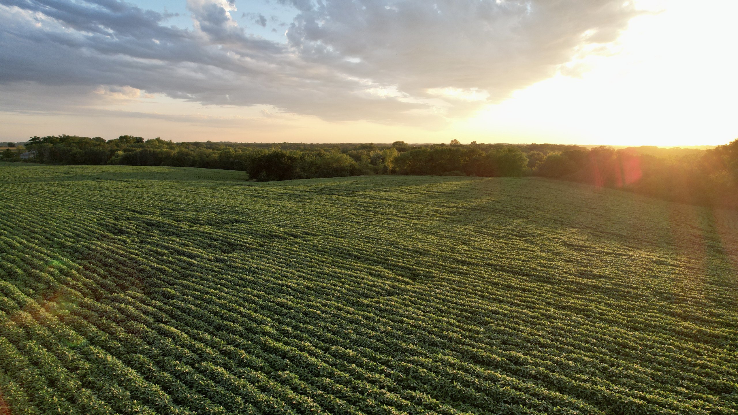 2-perry-street-knoxville-50138-DJI_0181-2.jpg