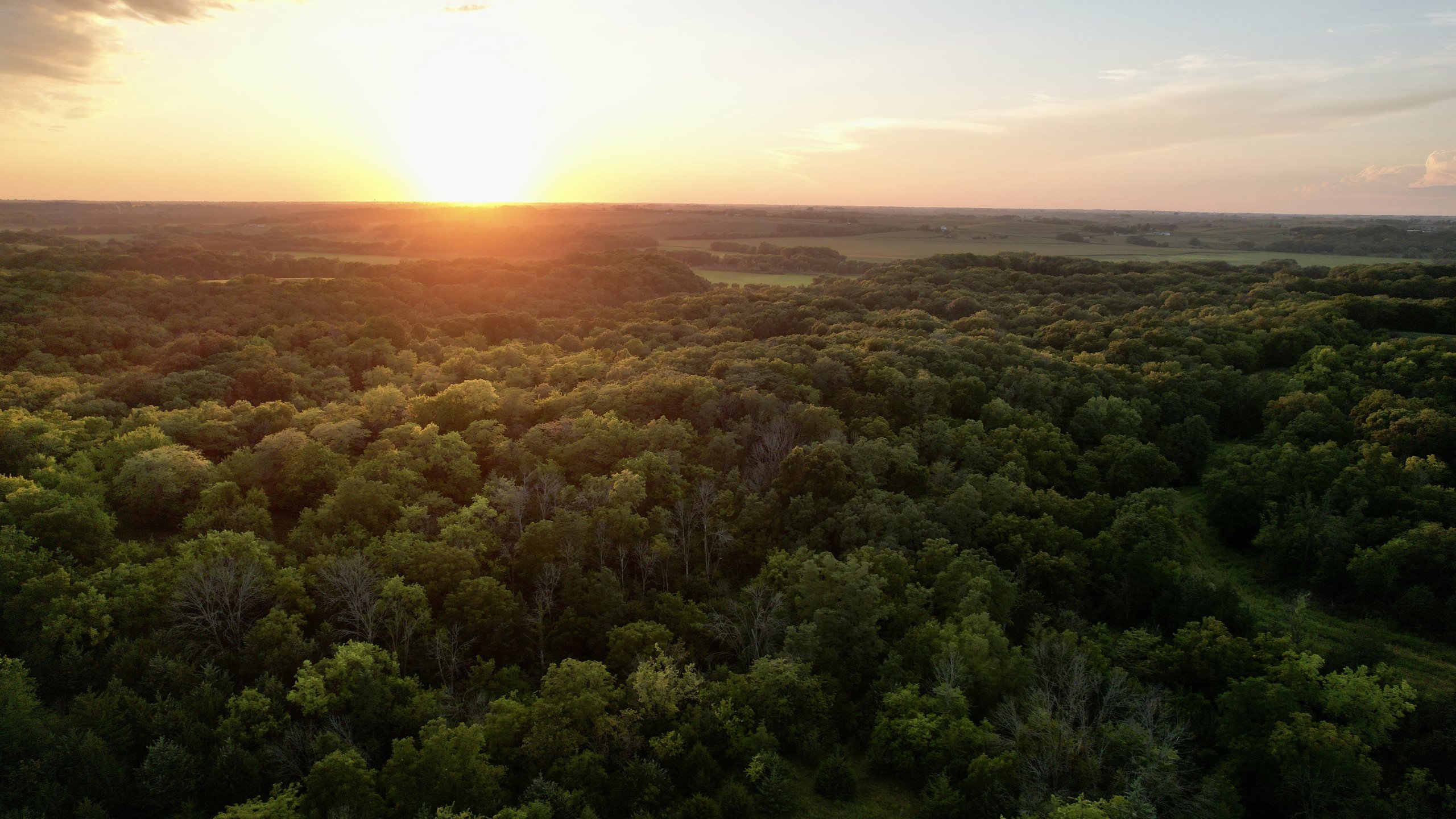 3-perry-street-knoxville-50138-DJI_0200-3.jpg