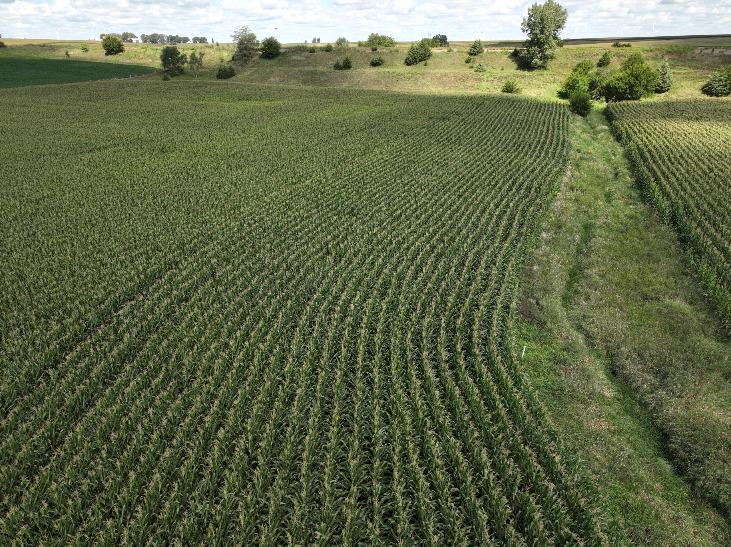 land-union-county-iowa-9-acres-listing-number-17060-DJI_0335-4.jpg