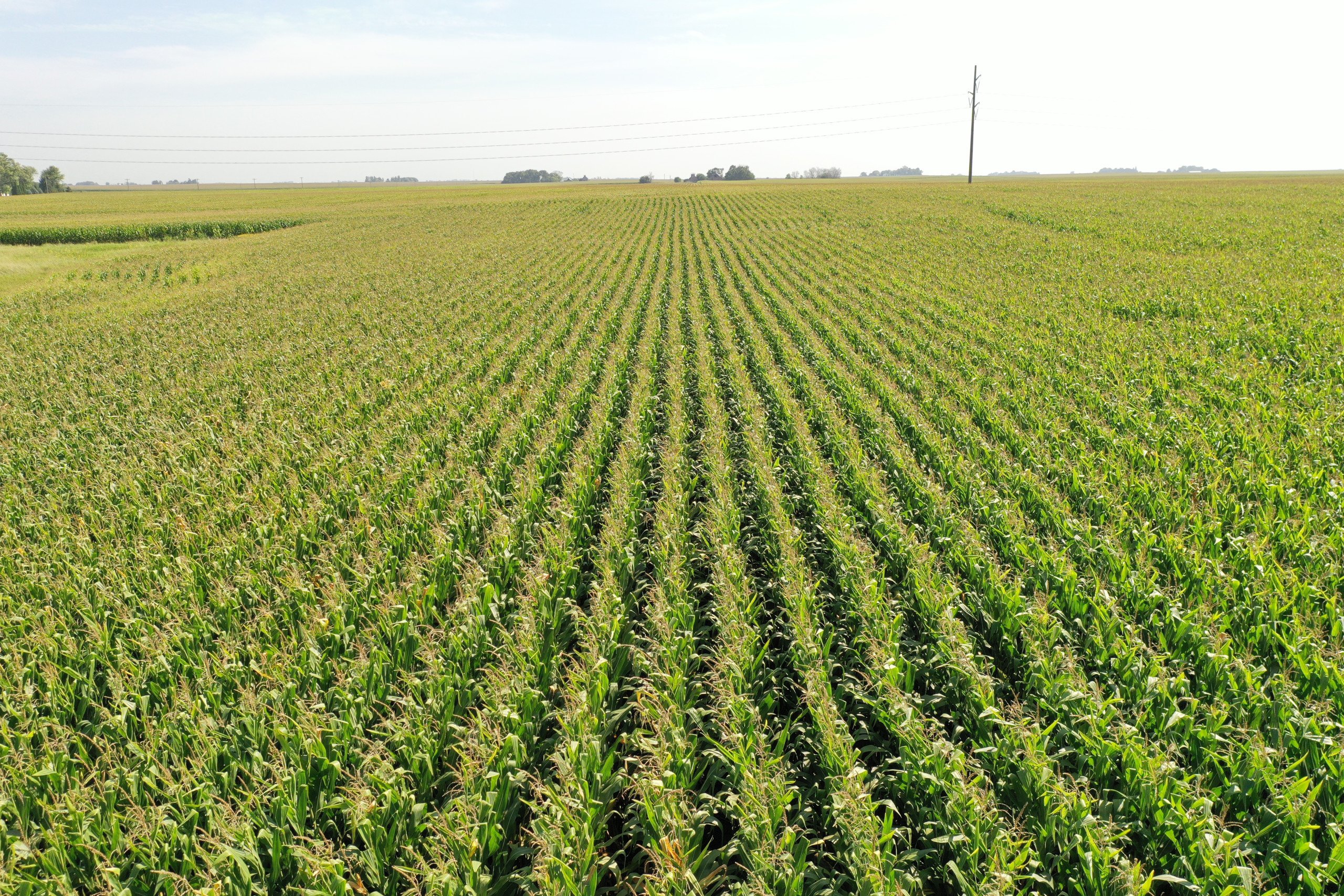 Boone County, Iowa Farmland Available