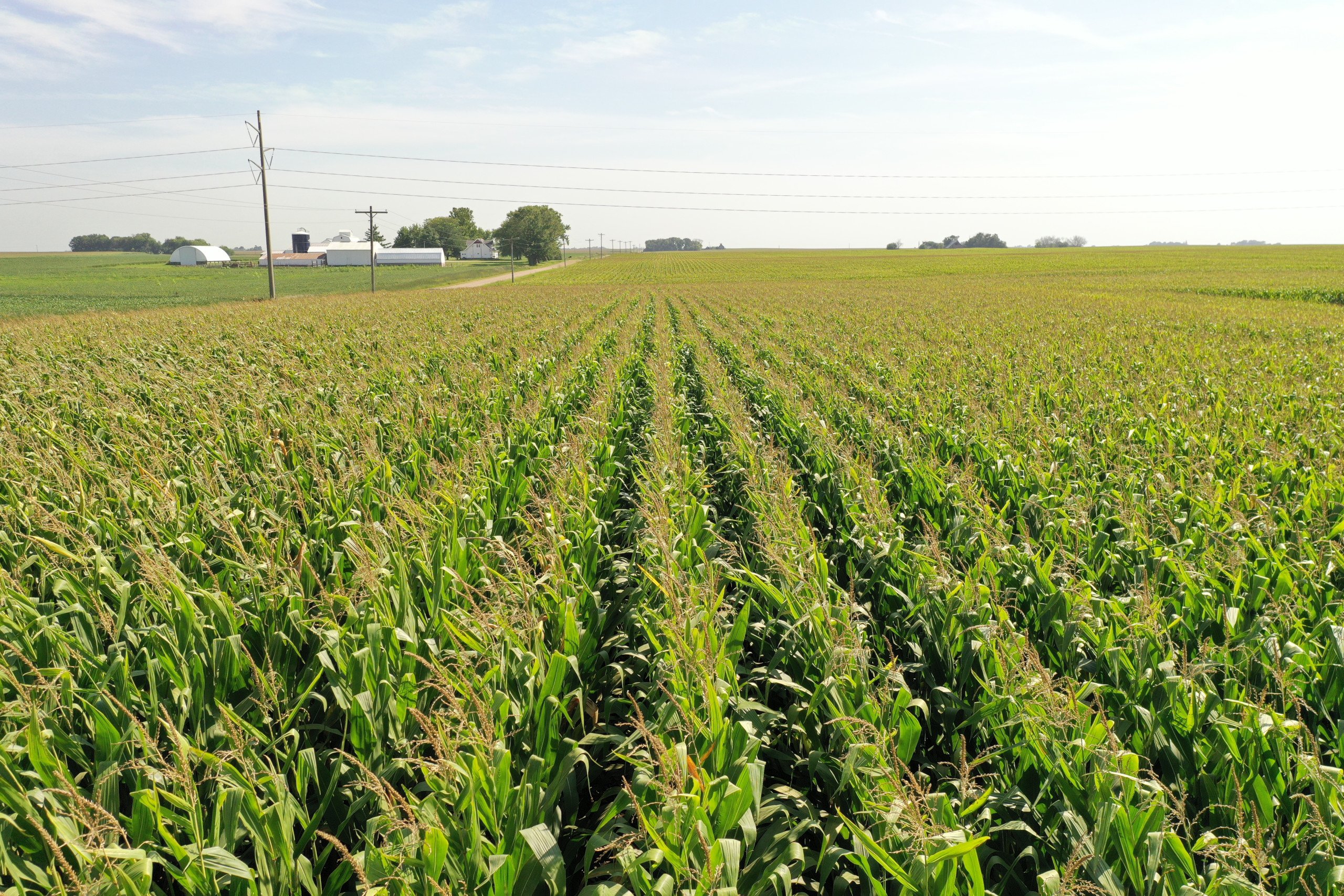 Boone County, Iowa Farmland Available