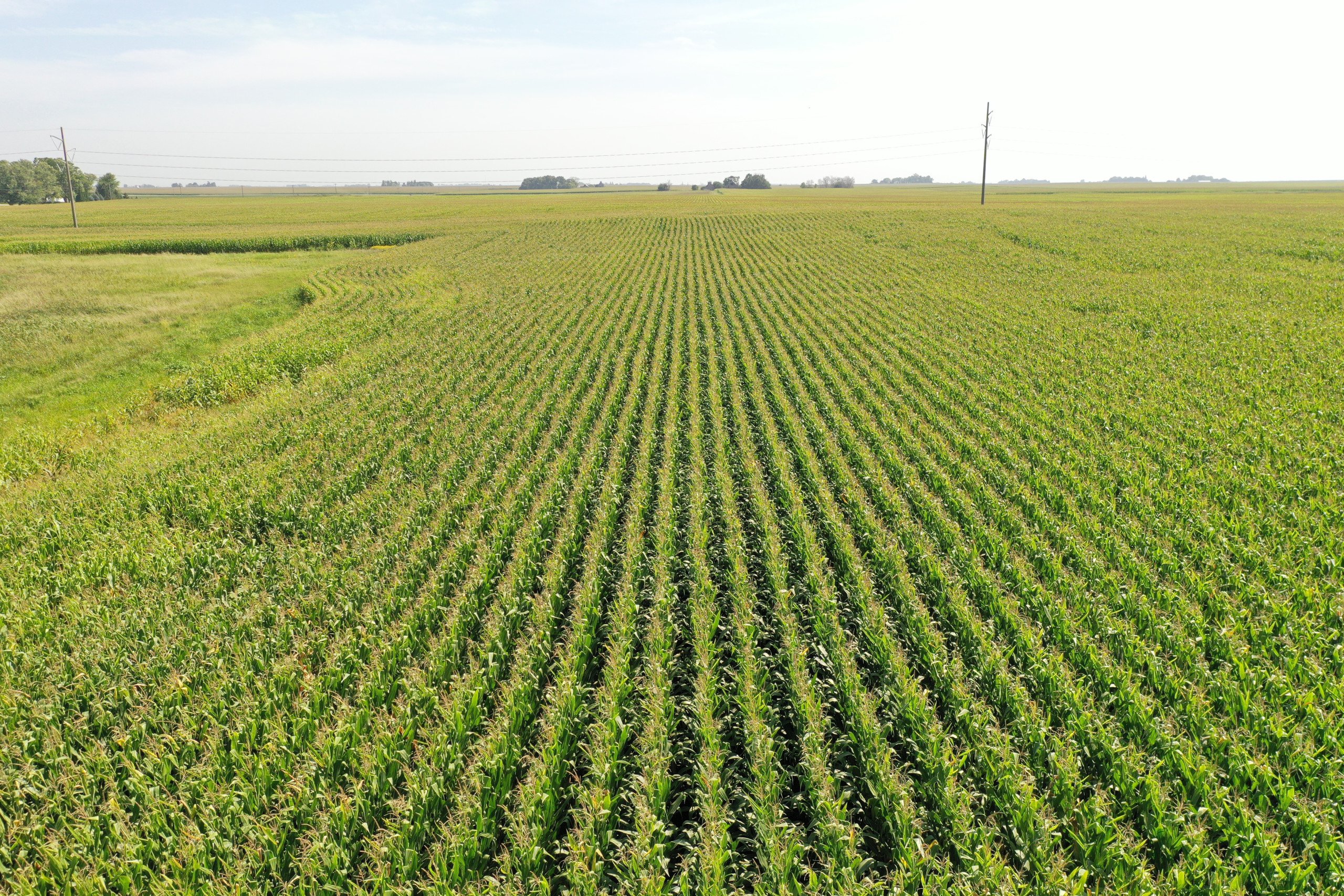 Boone County, Iowa Farmland Available