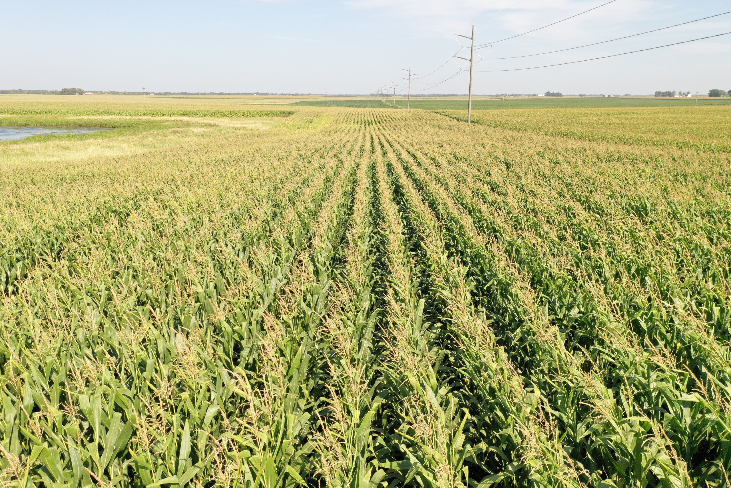 Boone County, Iowa Farmland Available