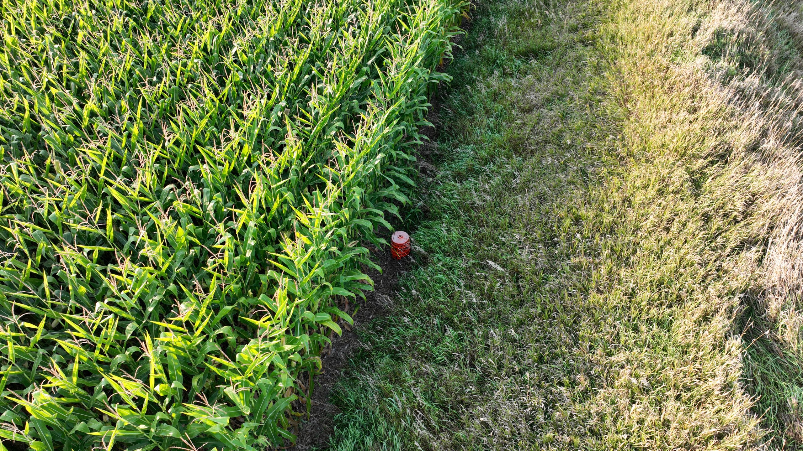 Greene County, Iowa Farmland for Sale