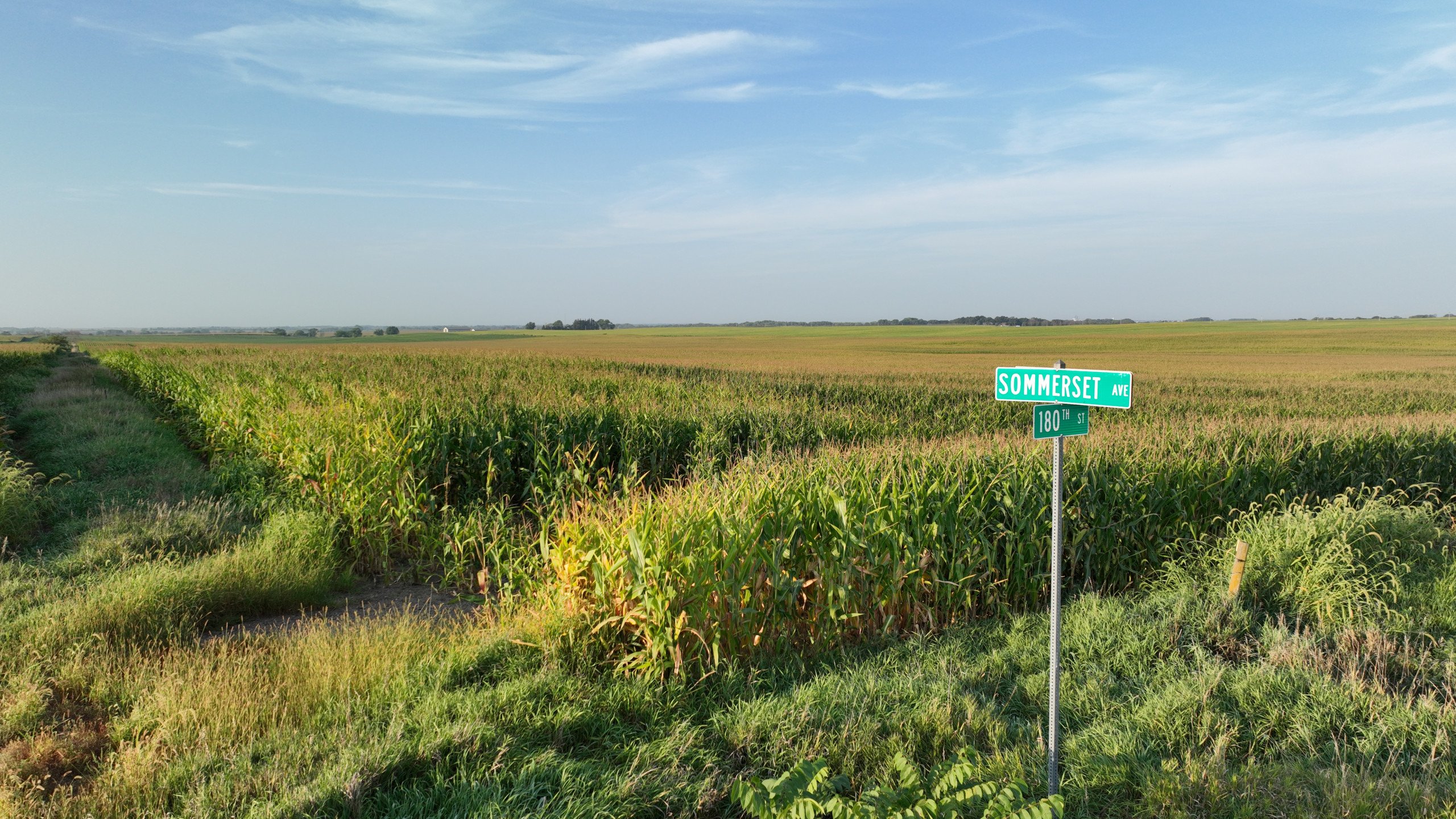 Greene County, Iowa Farmland for Sale
