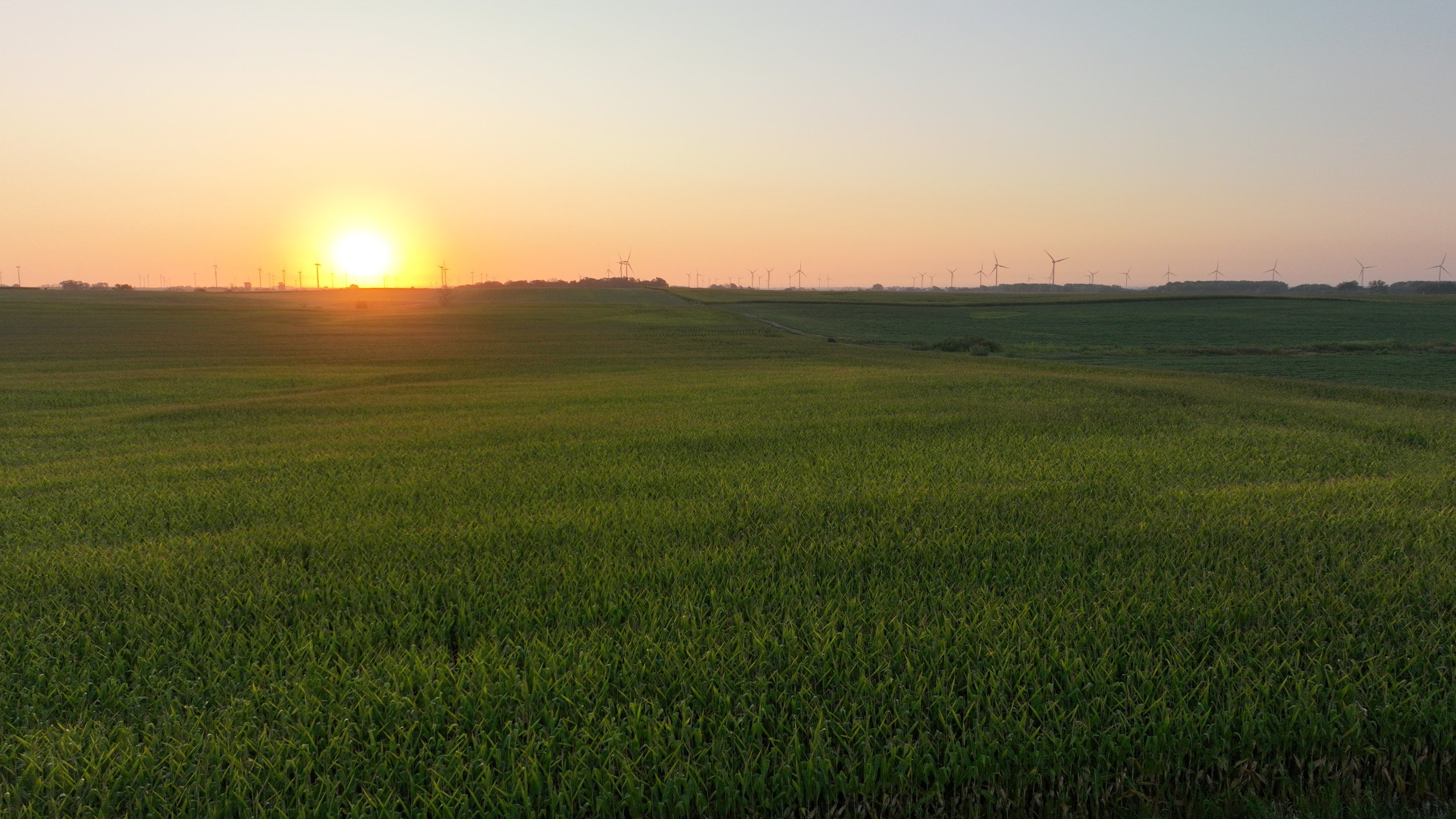 Greene County, Iowa Farmland for Sale