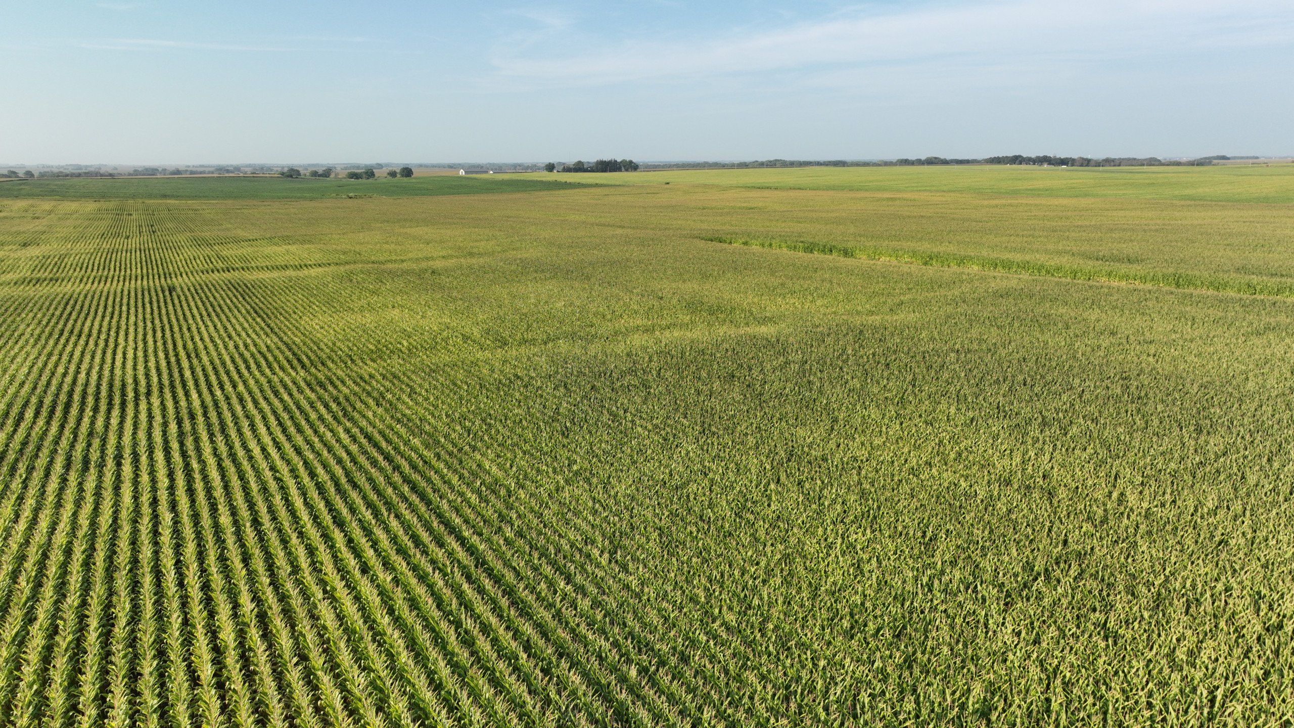 Greene County, Iowa Farmland for Sale