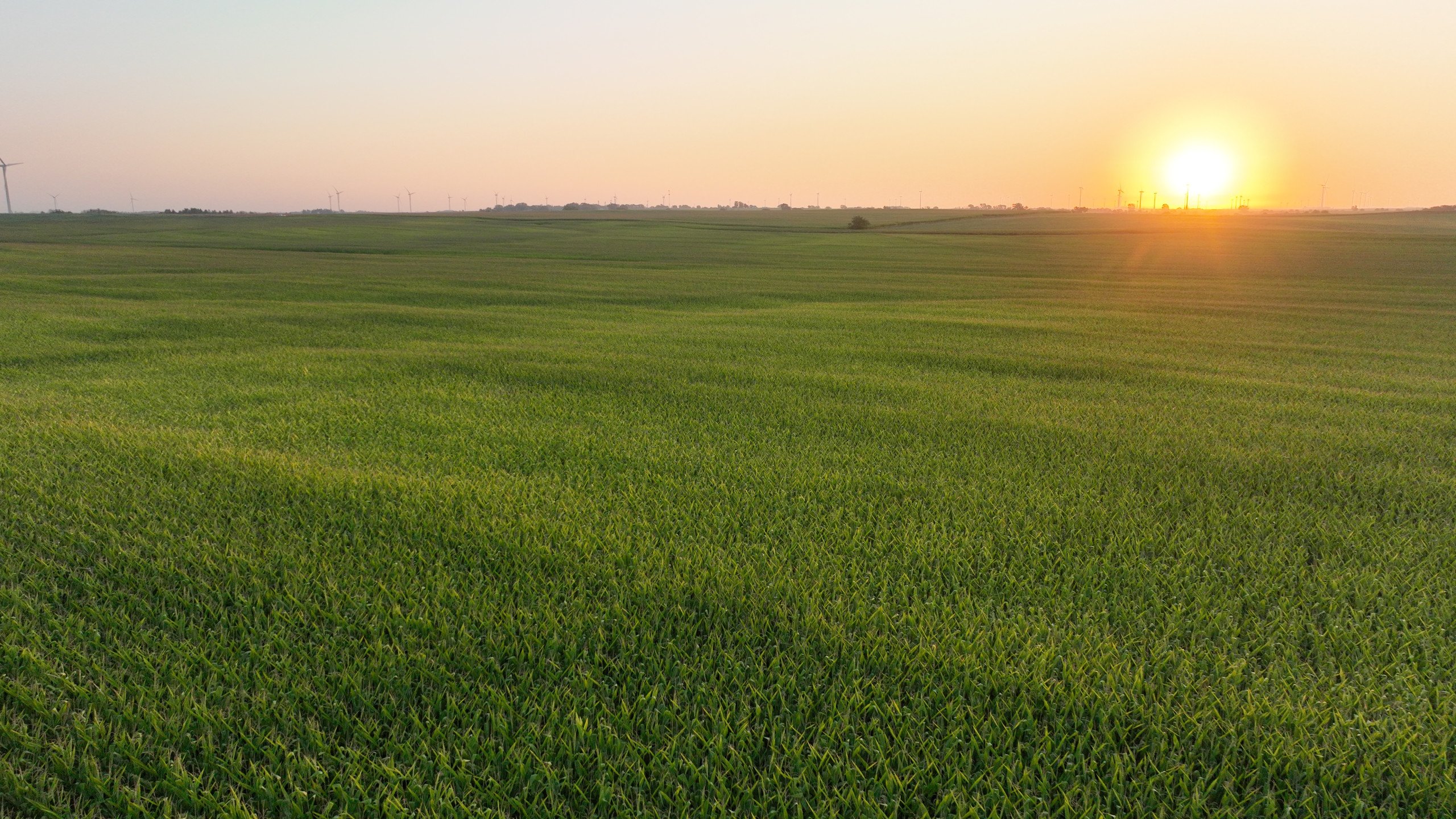 Greene County, Iowa Farmland for Sale