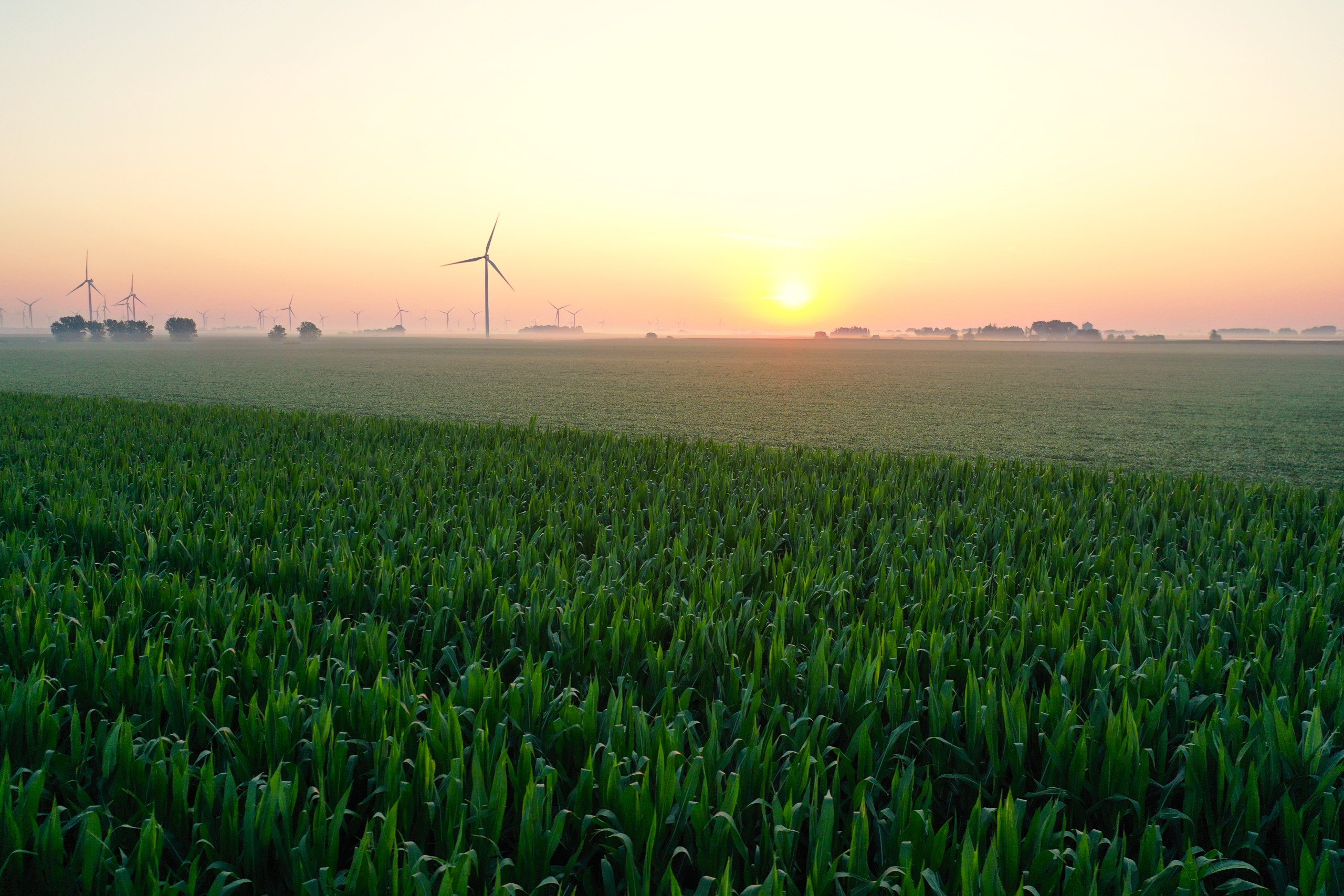 Greene County, Iowa Land Auction