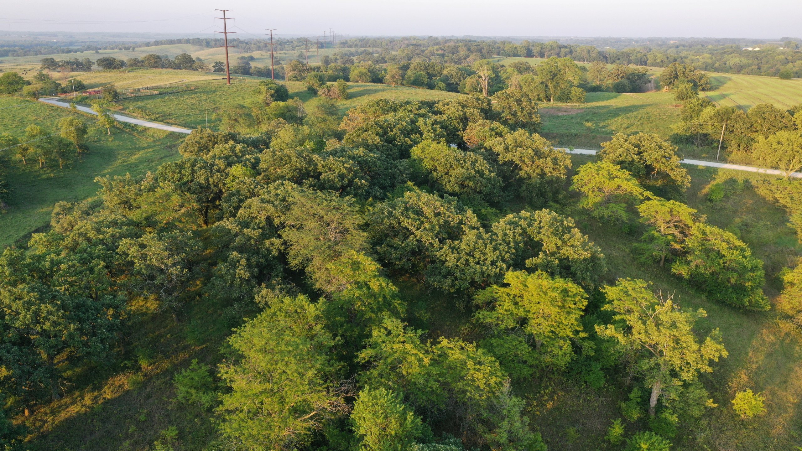 land-madison-county-iowa-7-acres-listing-number-17073-DJI_0666-1-0.jpg