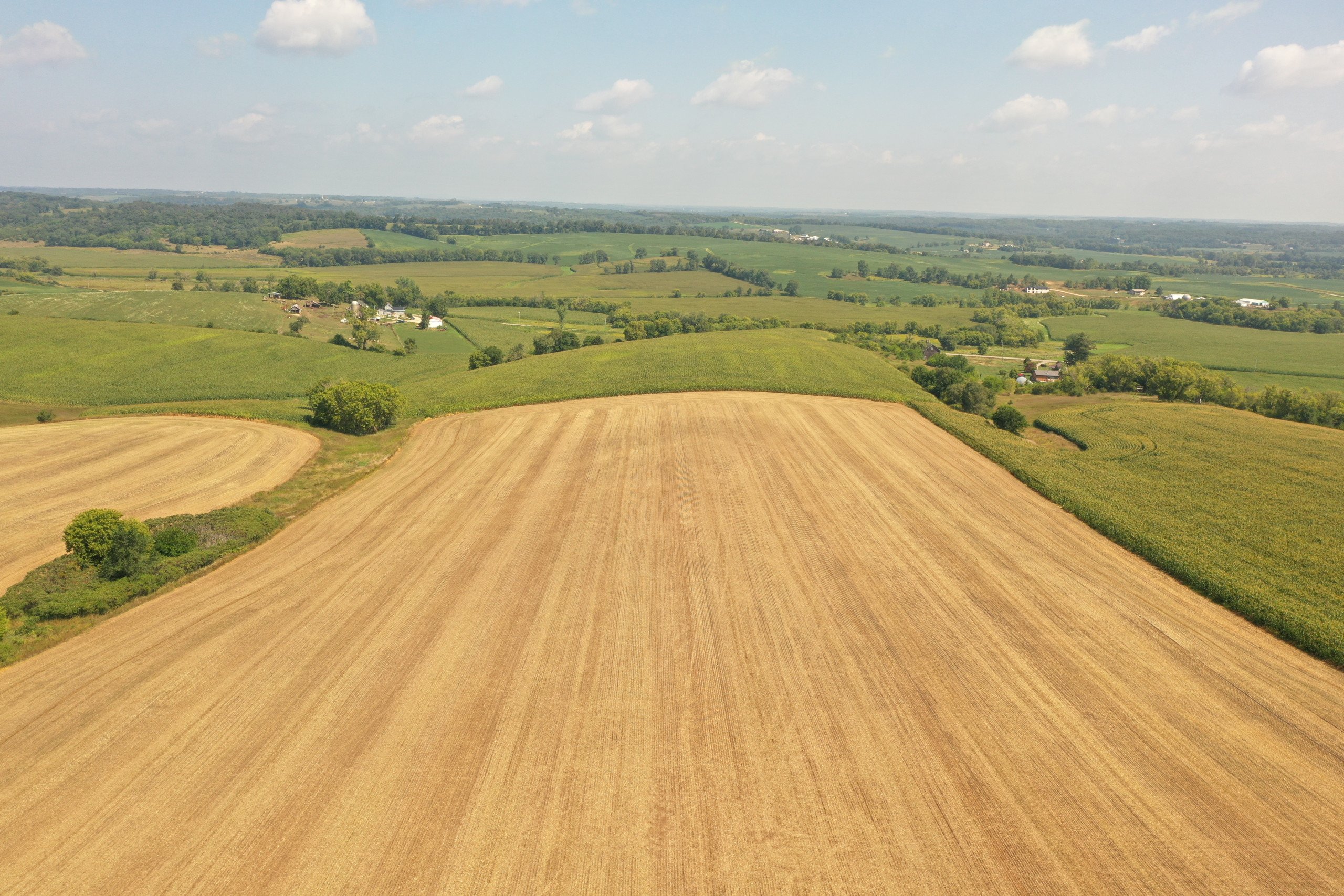 land-commercial-lafayette-county-wisconsin-48-acres-listing-number-17074-DJI_0424-0.jpg