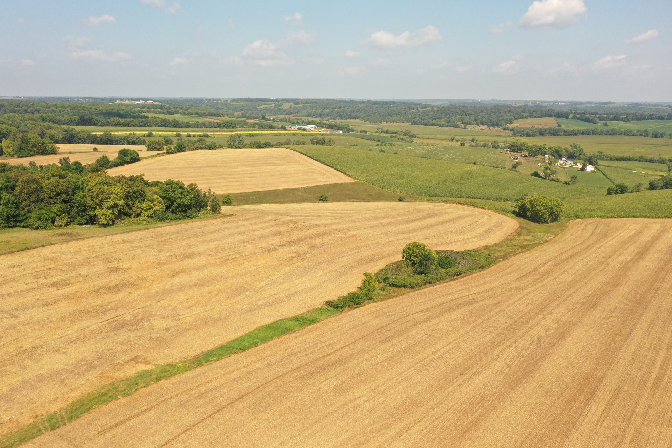 land-commercial-lafayette-county-wisconsin-48-acres-listing-number-17074-DJI_0425-0.jpg