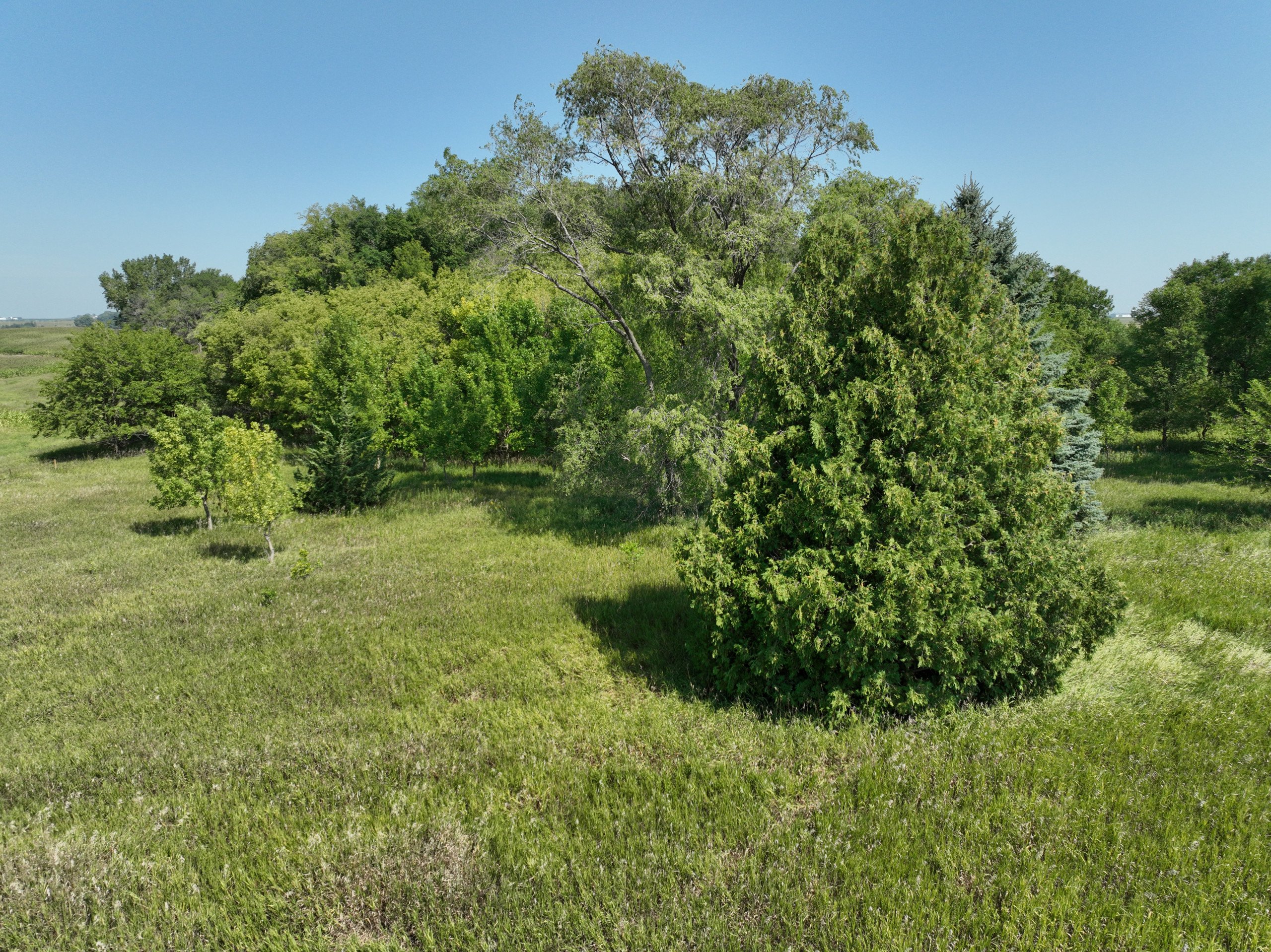 land-franklin-county-iowa-10-acres-listing-number-17077-DJI_0796-4.jpg