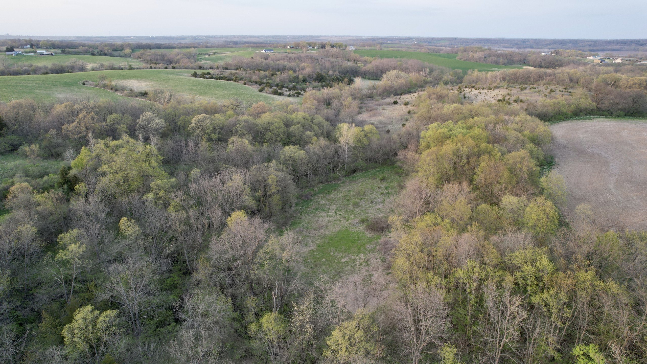 land-warren-county-iowa-41-acres-listing-number-17080-DJI_0209-7.jpg