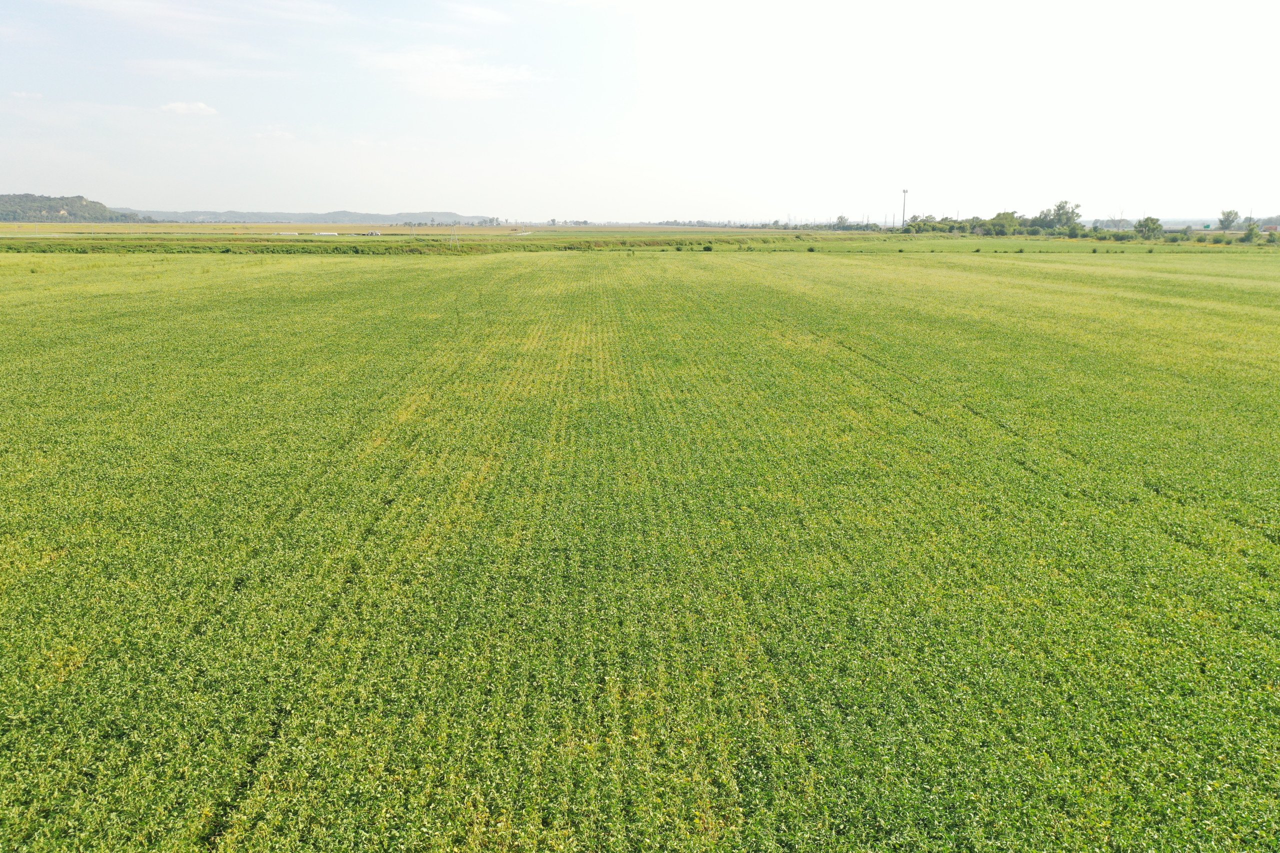 Pottawattamie County, Iowa Farmland Auction