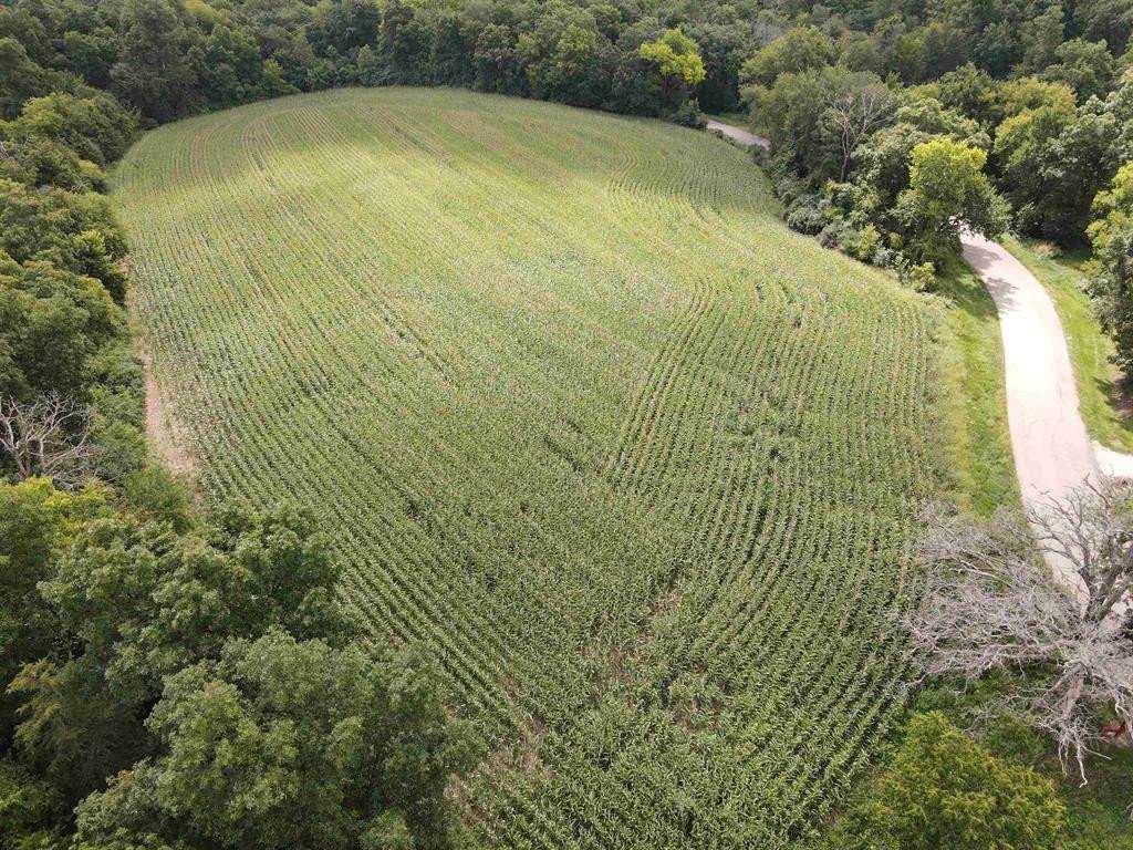 dane-county-wisconsin-9-acres-listing-number-17087-1962847-1 (1)-9.jpg