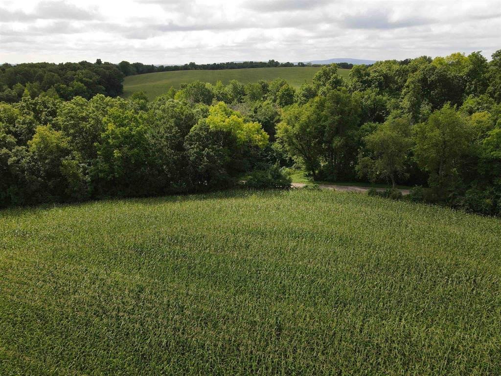 dane-county-wisconsin-18-acres-listing-number-17088-1962848-2-14.jpg