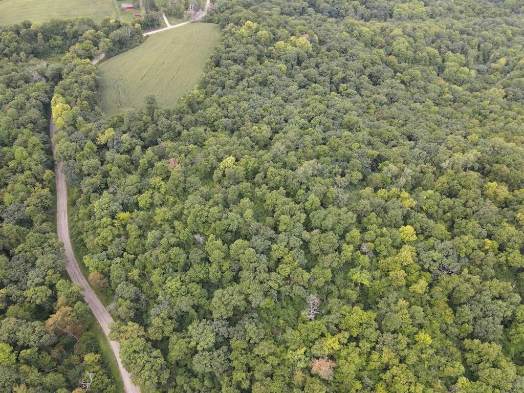 dane-county-wisconsin-18-acres-listing-number-17088-1962848-21 (1)-2.jpg