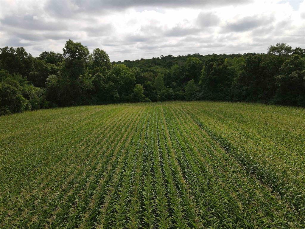 dane-county-wisconsin-18-acres-listing-number-17088-1962848-8-8.jpg