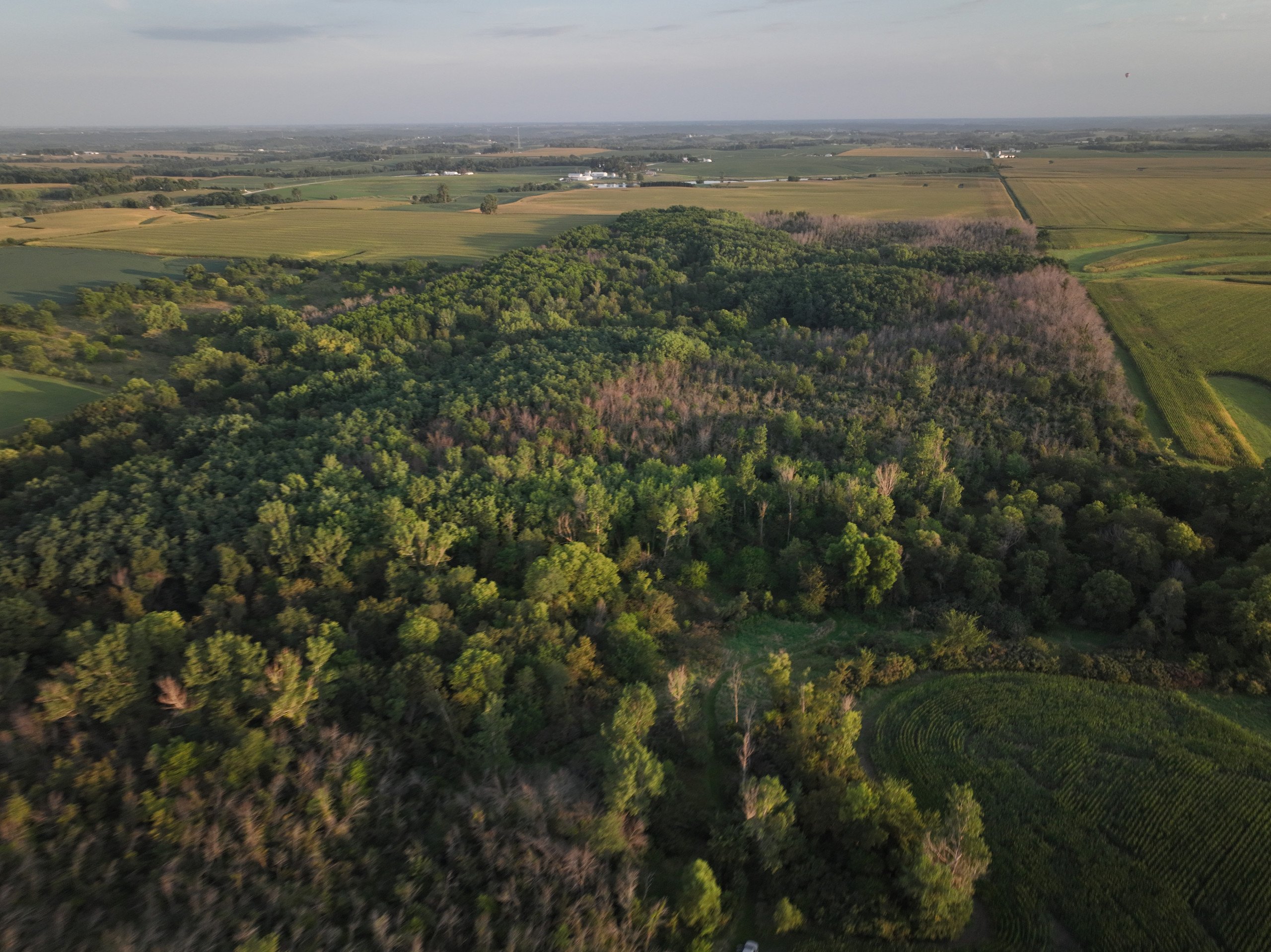 land-warren-county-iowa-114-acres-listing-number-17089-DJI_0348-2.jpg