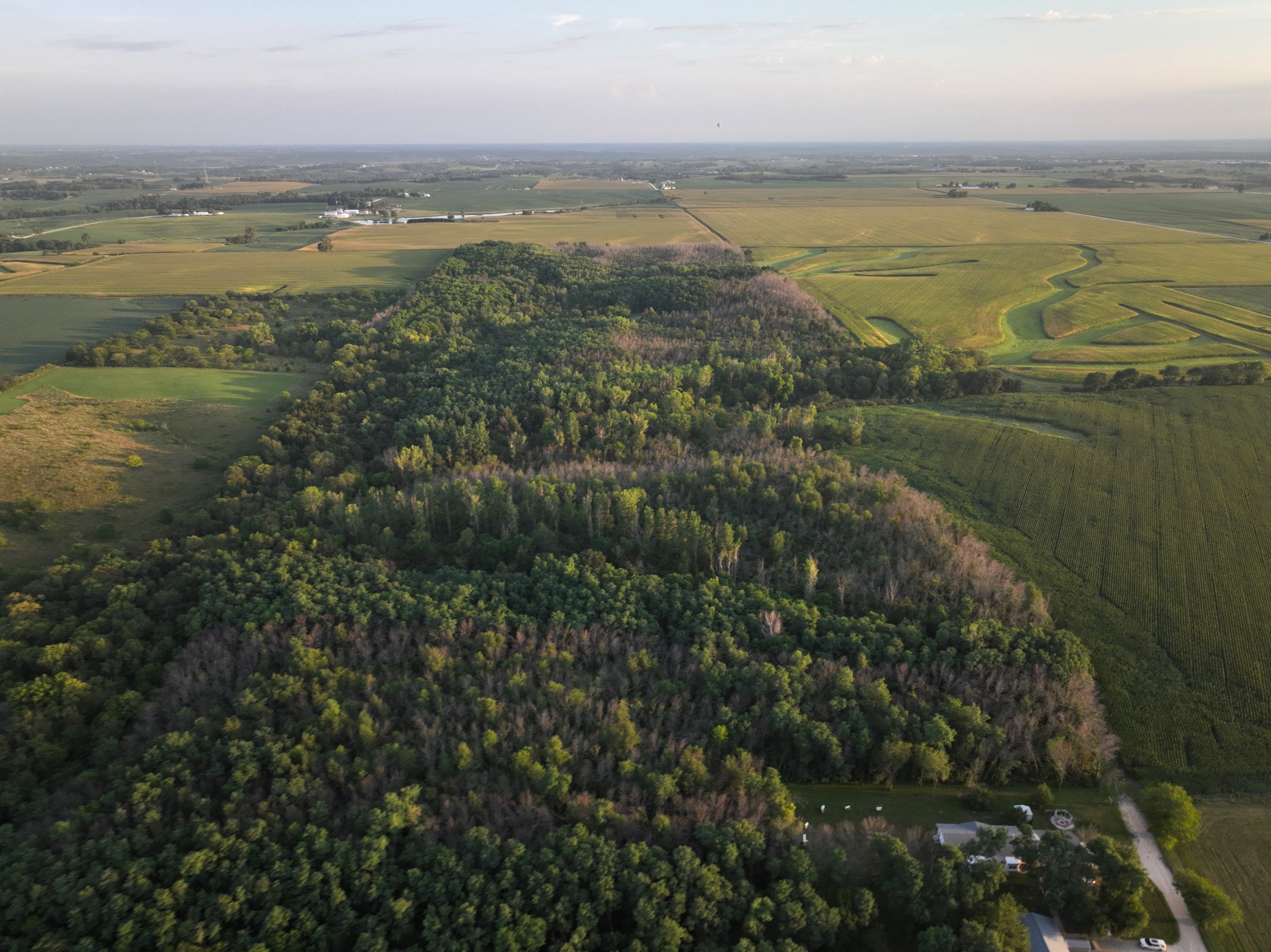 land-warren-county-iowa-114-acres-listing-number-17089-DJI_0352 (1)-0.jpg