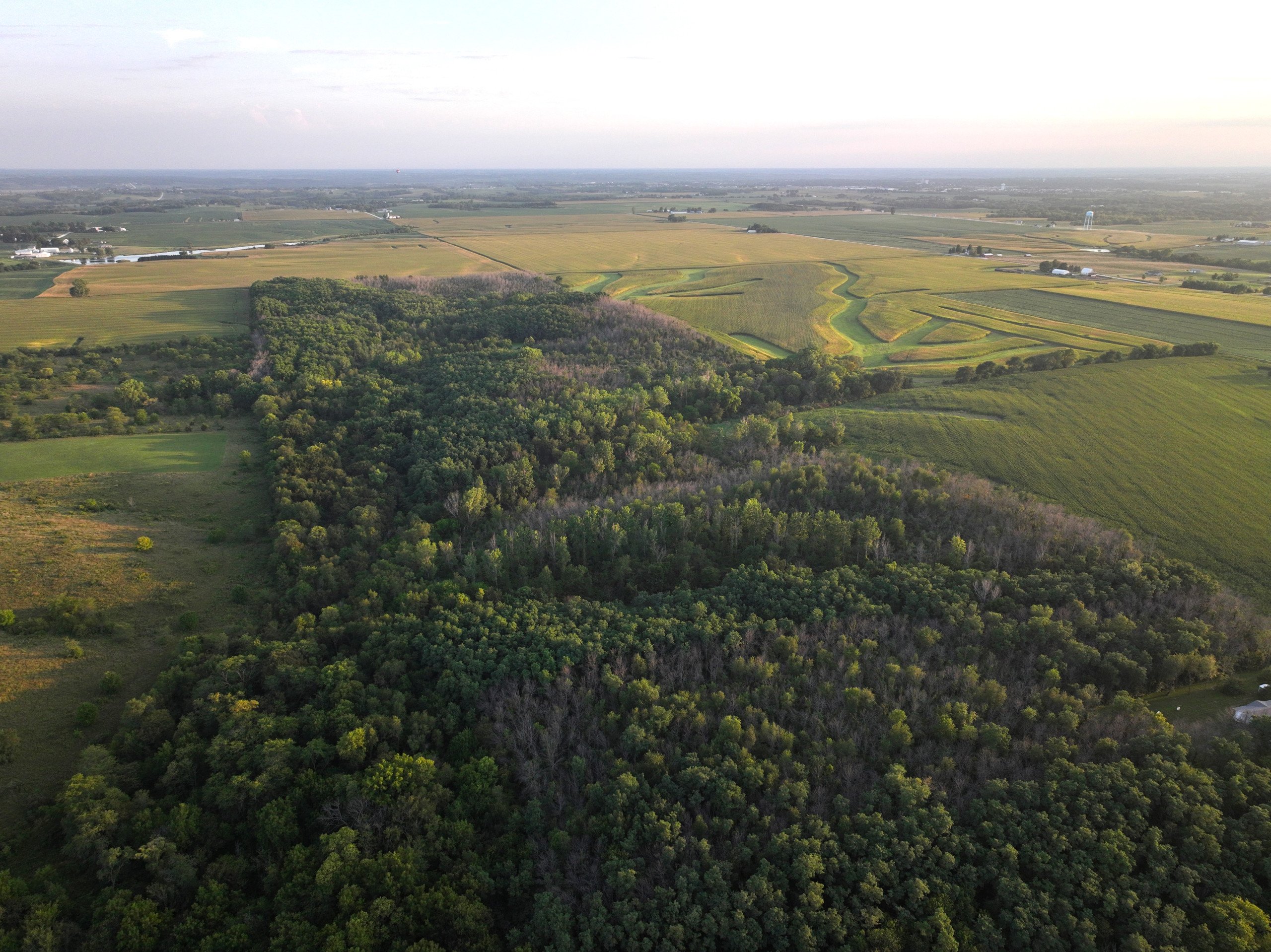 land-warren-county-iowa-114-acres-listing-number-17089-DJI_0354-1.jpg