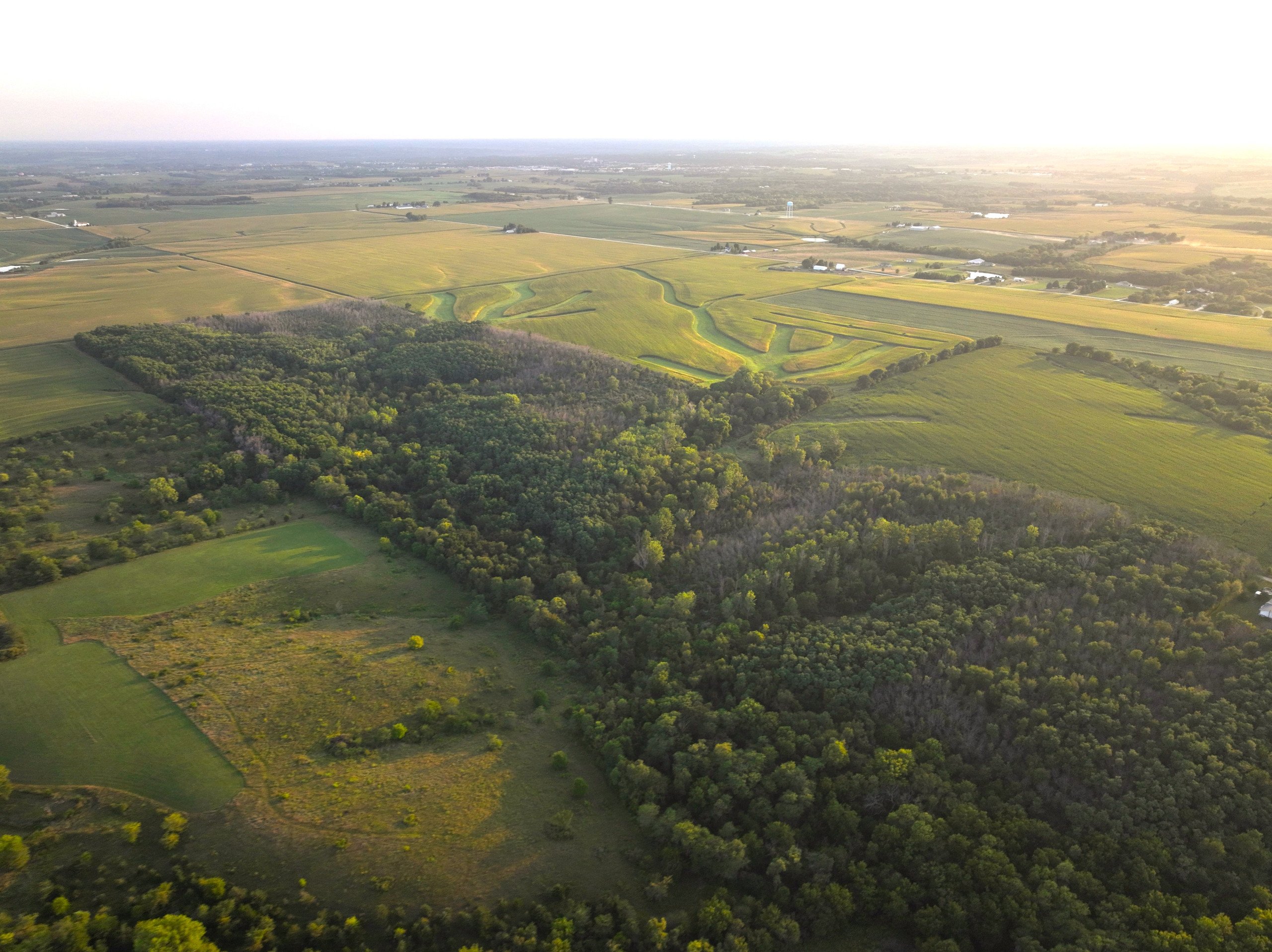 land-warren-county-iowa-114-acres-listing-number-17089-DJI_0358-2.jpg