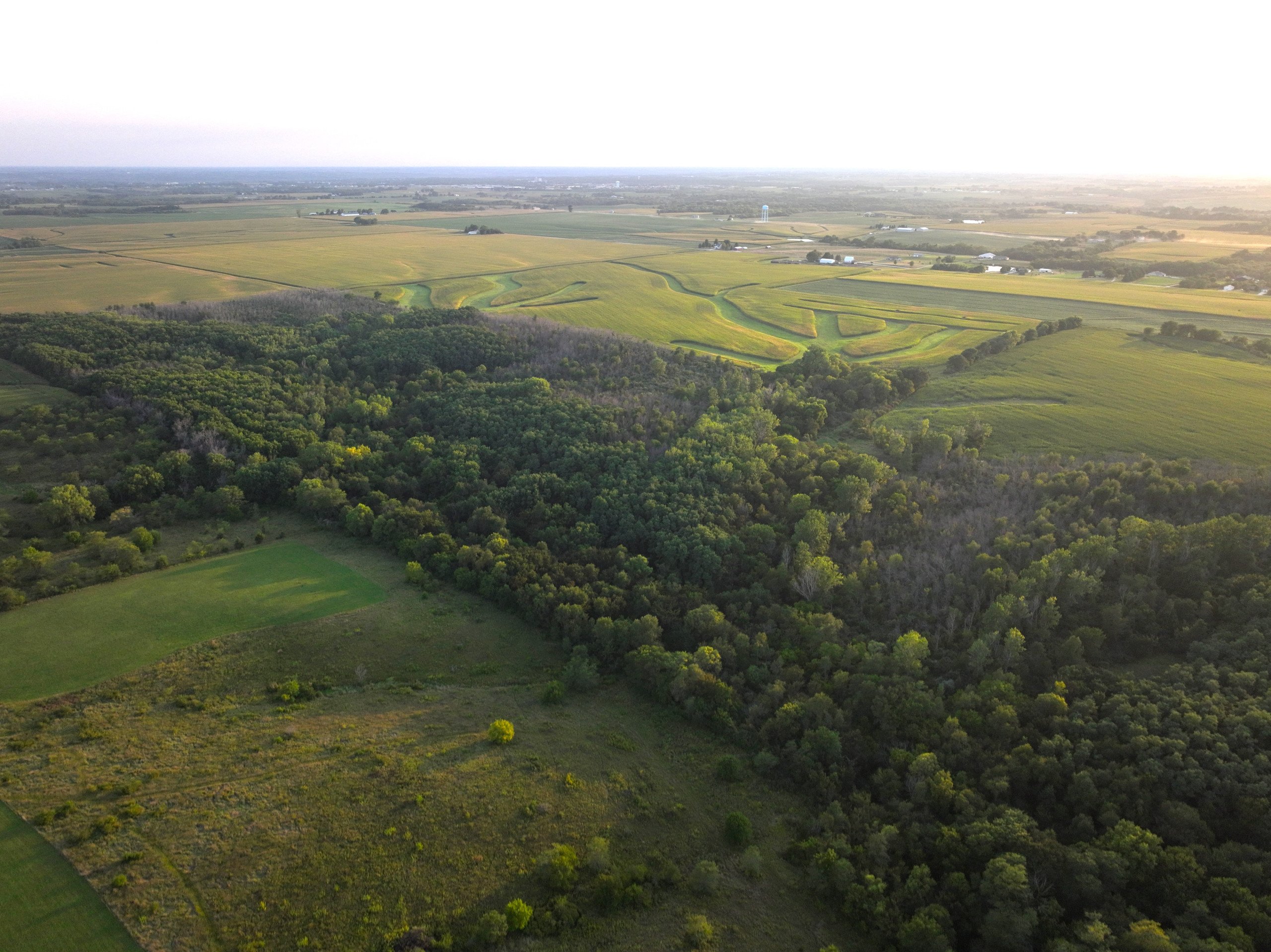 land-warren-county-iowa-114-acres-listing-number-17089-DJI_0361-3.jpg