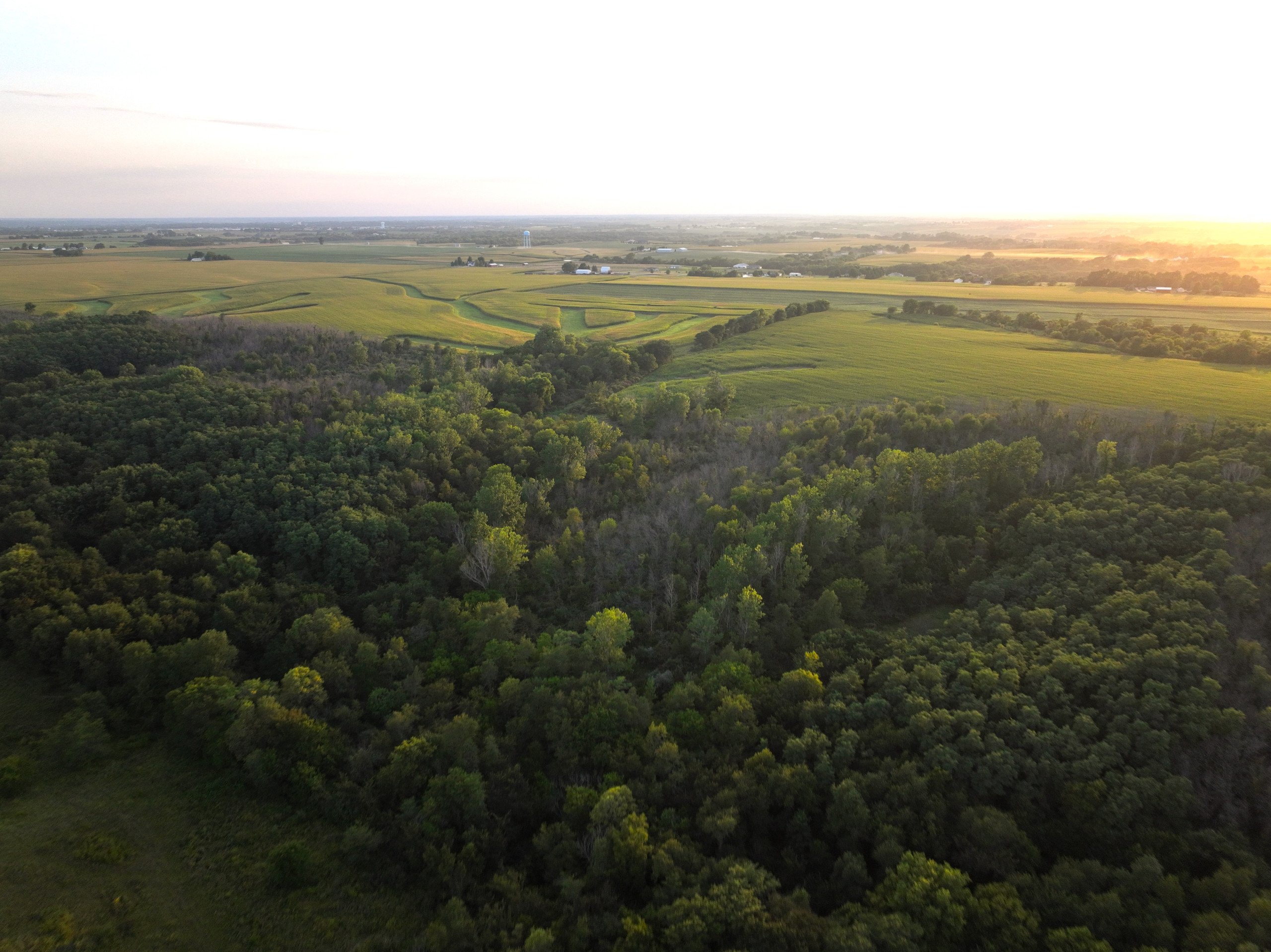 land-warren-county-iowa-114-acres-listing-number-17089-DJI_0363-0.jpg