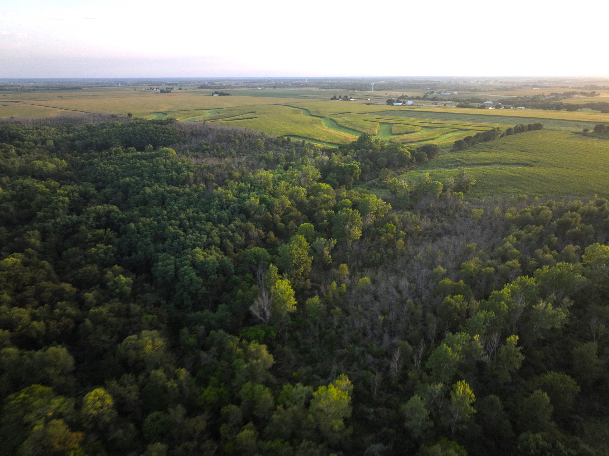 land-warren-county-iowa-114-acres-listing-number-17089-DJI_0365-1.jpg