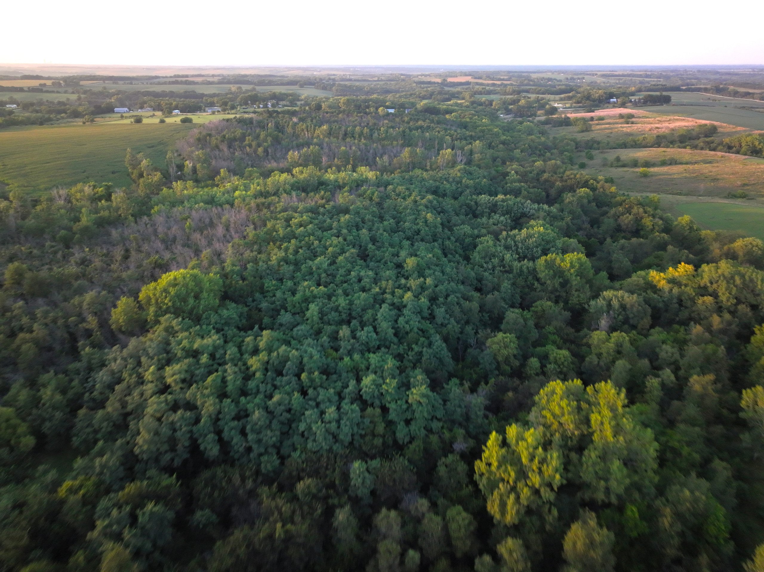 land-warren-county-iowa-114-acres-listing-number-17089-DJI_0403-2.jpg