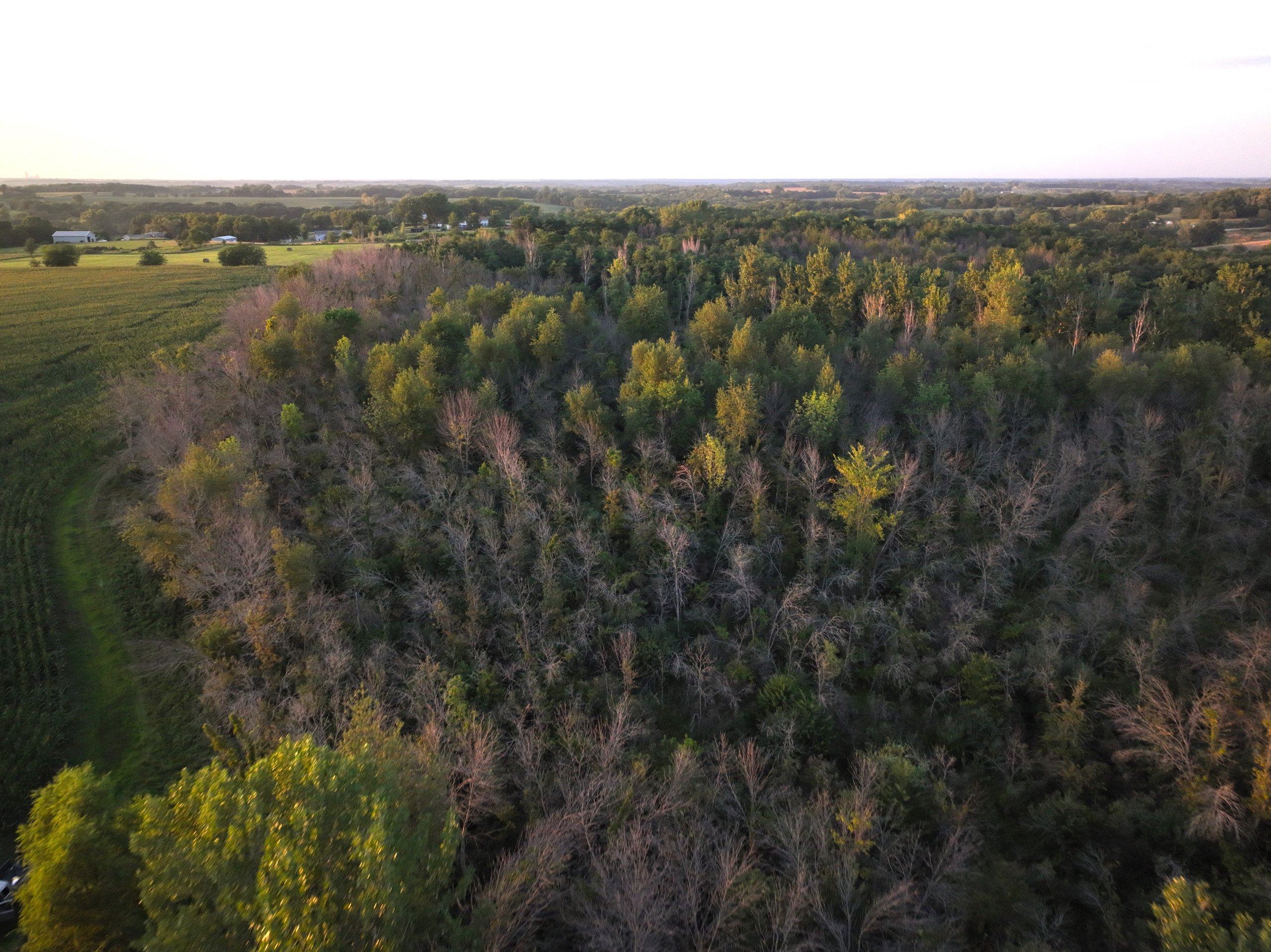 land-warren-county-iowa-114-acres-listing-number-17089-DJI_0404-3.jpg