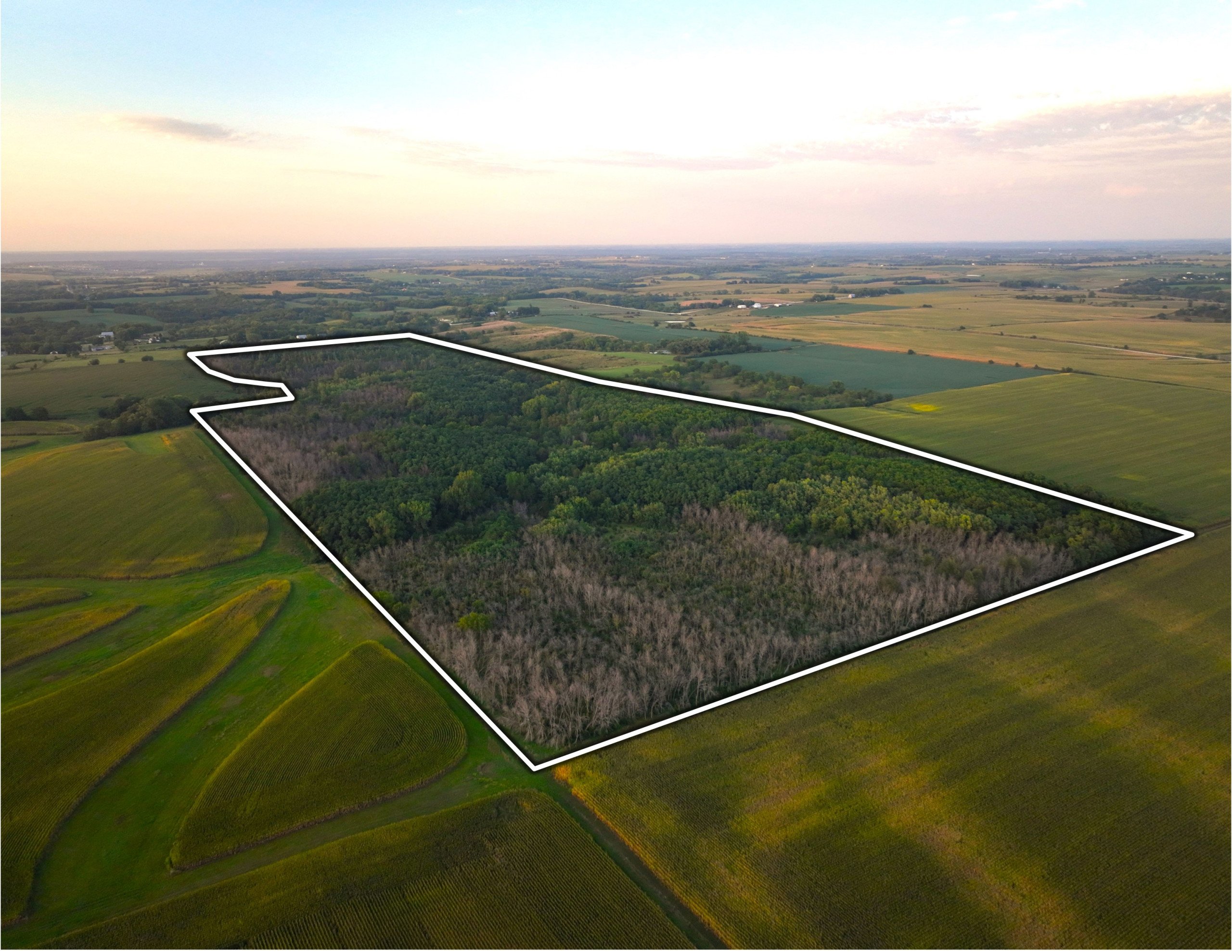 land-warren-county-iowa-114-acres-listing-number-17089-MATTCO 114 neW-0.jpg