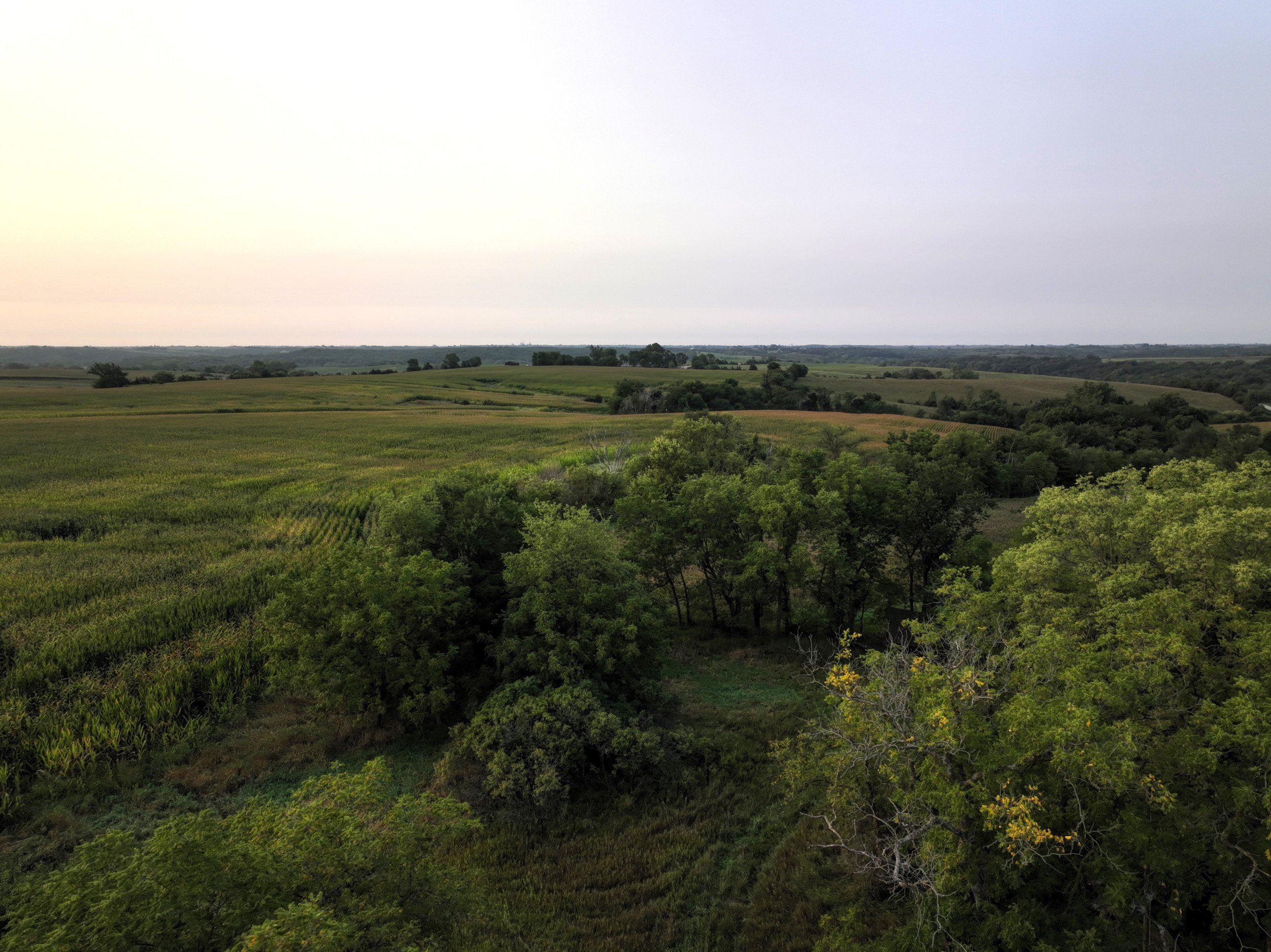 land-clarke-county-iowa-80-acres-listing-number-17095-DJI_0408-1.jpg