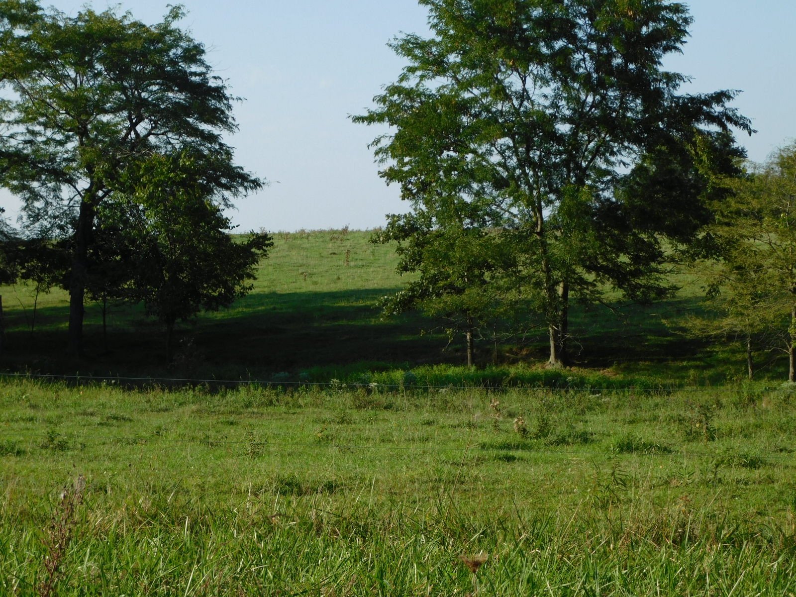 Pasture - South Side