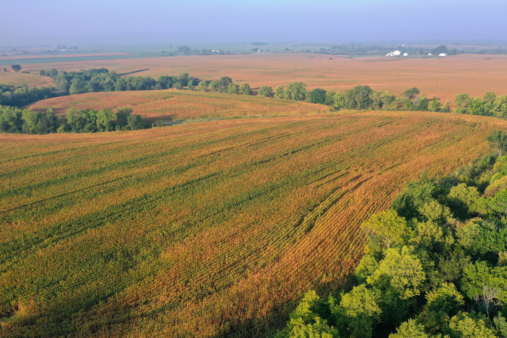 land-warren-county-iowa-79-acres-listing-number-17105-DJI_0386-3.jpg