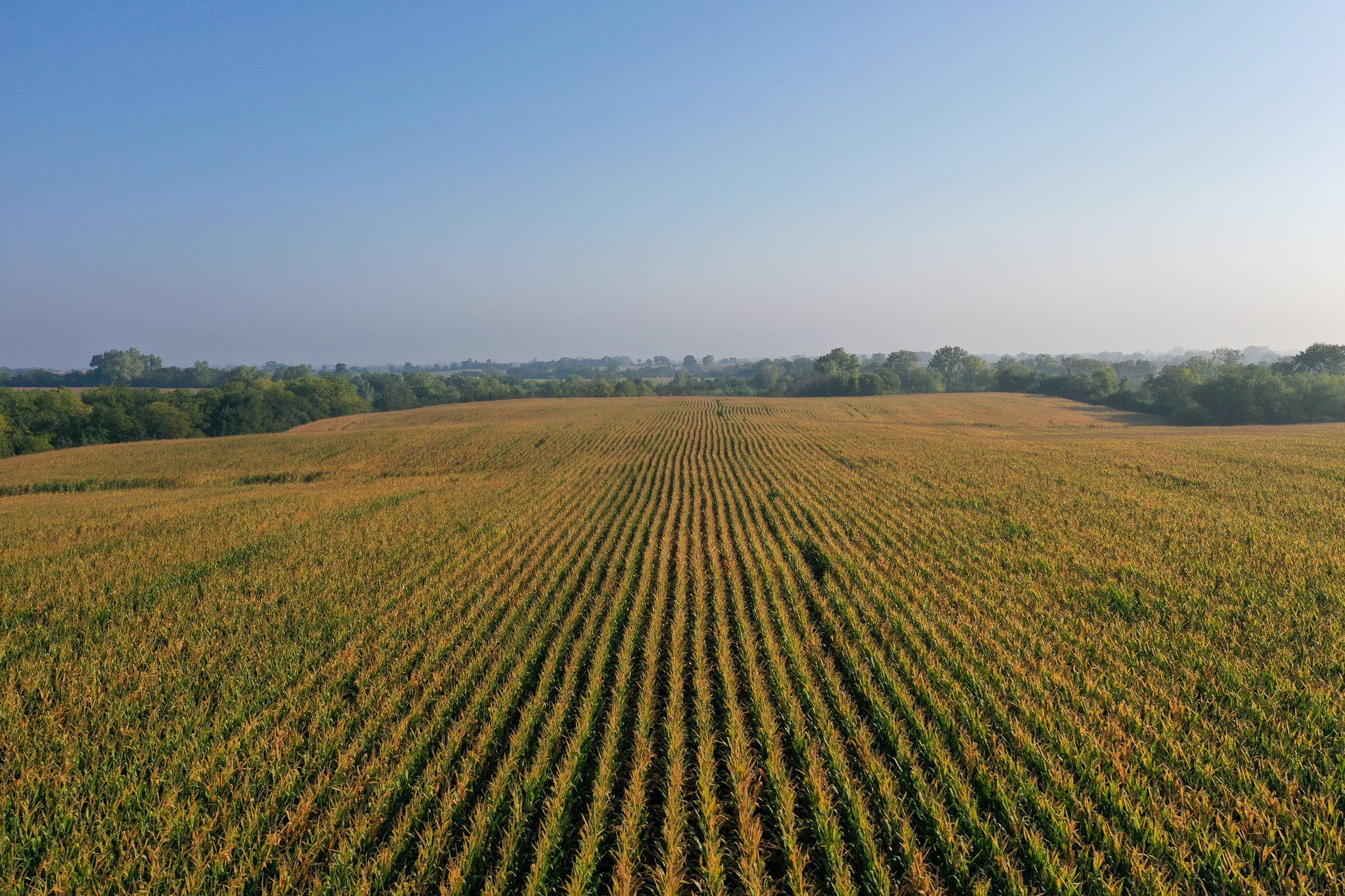 land-warren-county-iowa-20-acres-listing-number-17106-DJI_0441-1.jpg