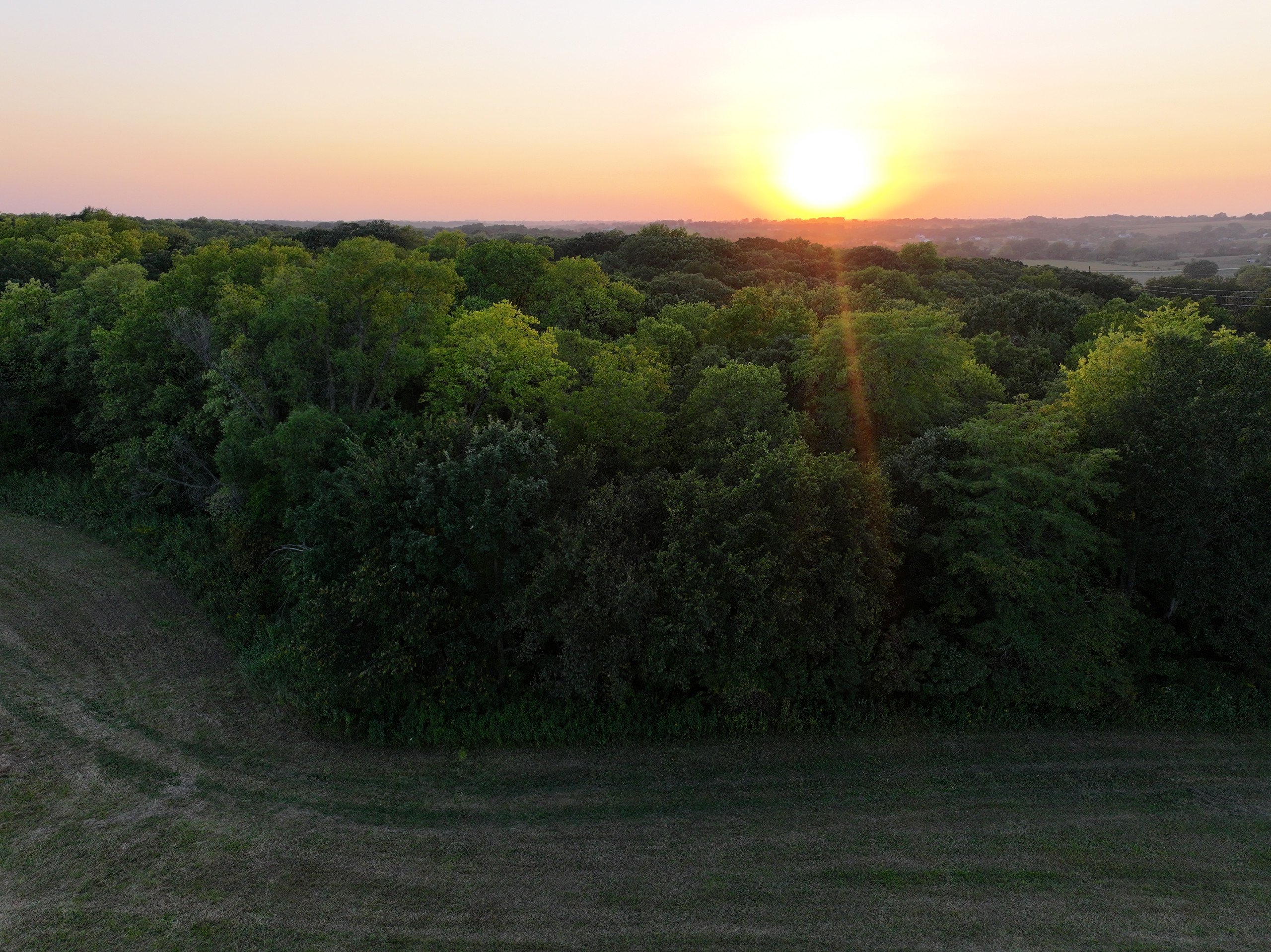 land-madison-county-iowa-89-acres-listing-number-17107-DJI_20230908193212_0111_D-0.jpg