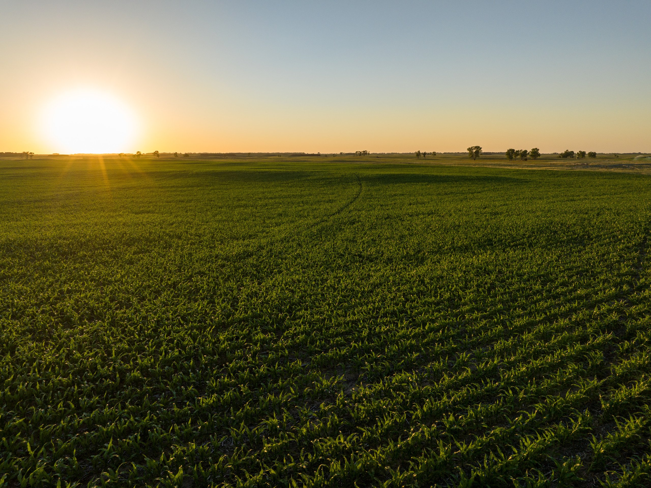 auctions-land-rock-county-nebraska-482-acres-listing-number-17110-DJI_0205-2.jpg