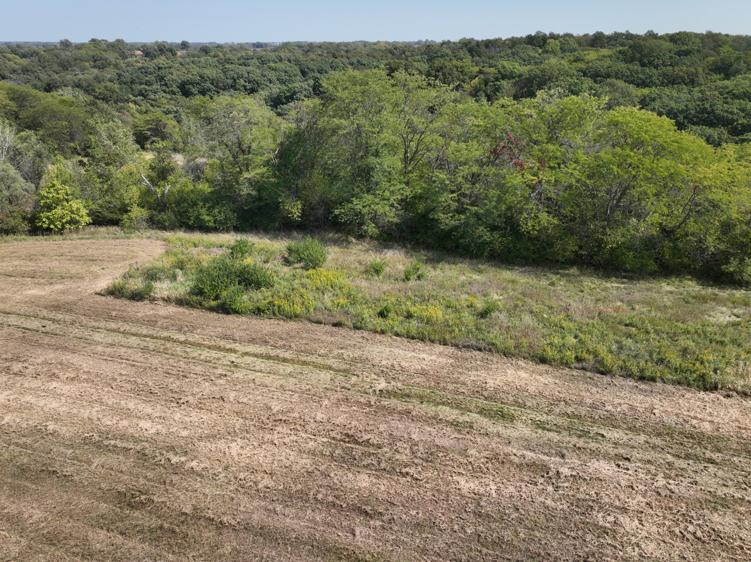 residential-land-warren-county-iowa-34-acres-listing-number-17112-DJI_0569-1.jpg