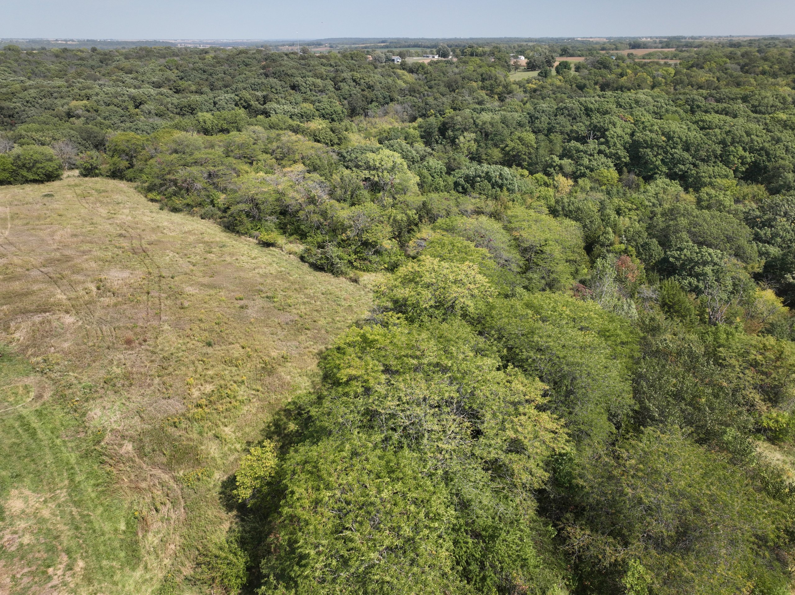 residential-land-warren-county-iowa-34-acres-listing-number-17112-DJI_0575-1.jpg