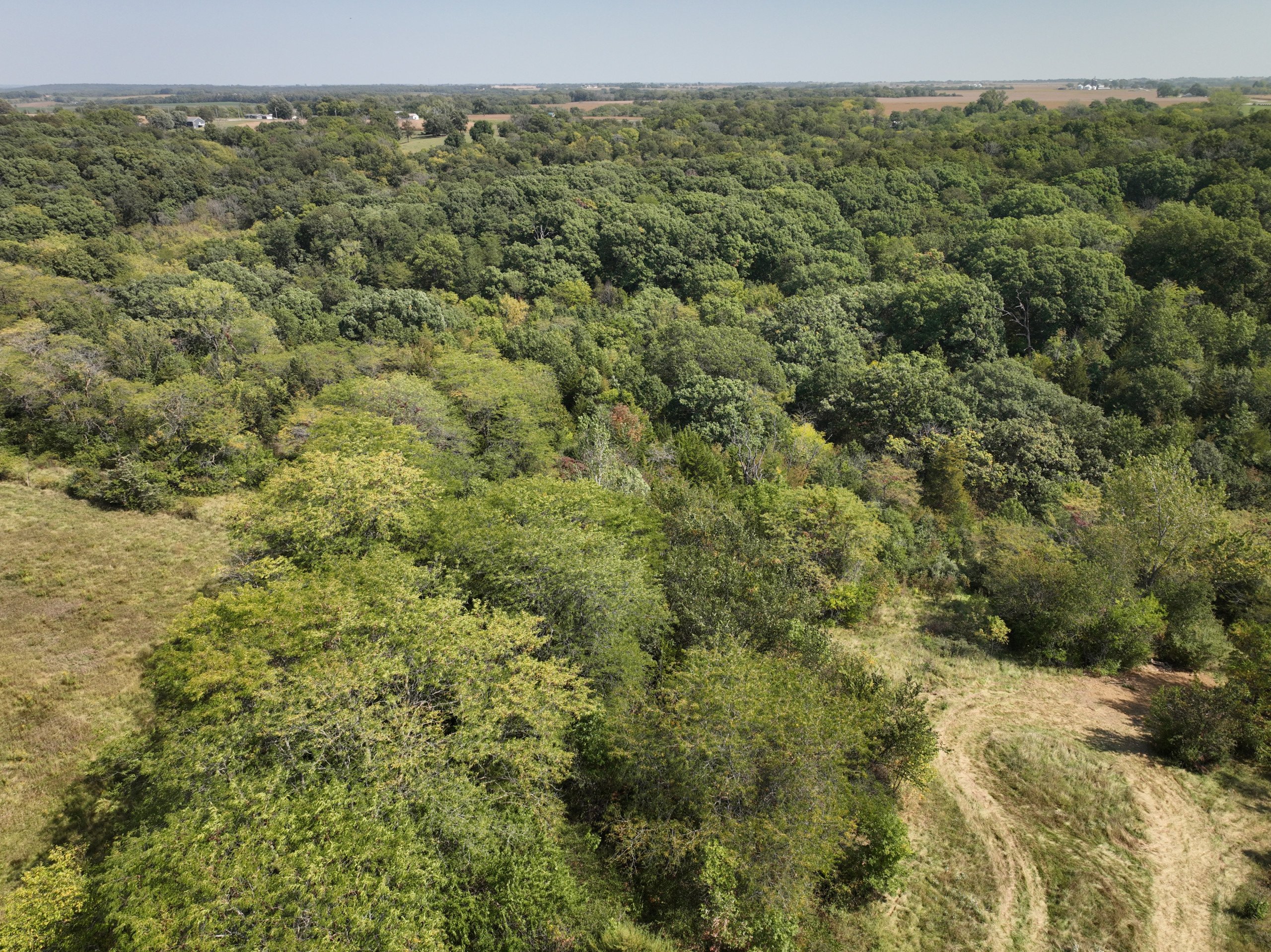 residential-land-warren-county-iowa-34-acres-listing-number-17112-DJI_0576-2.jpg