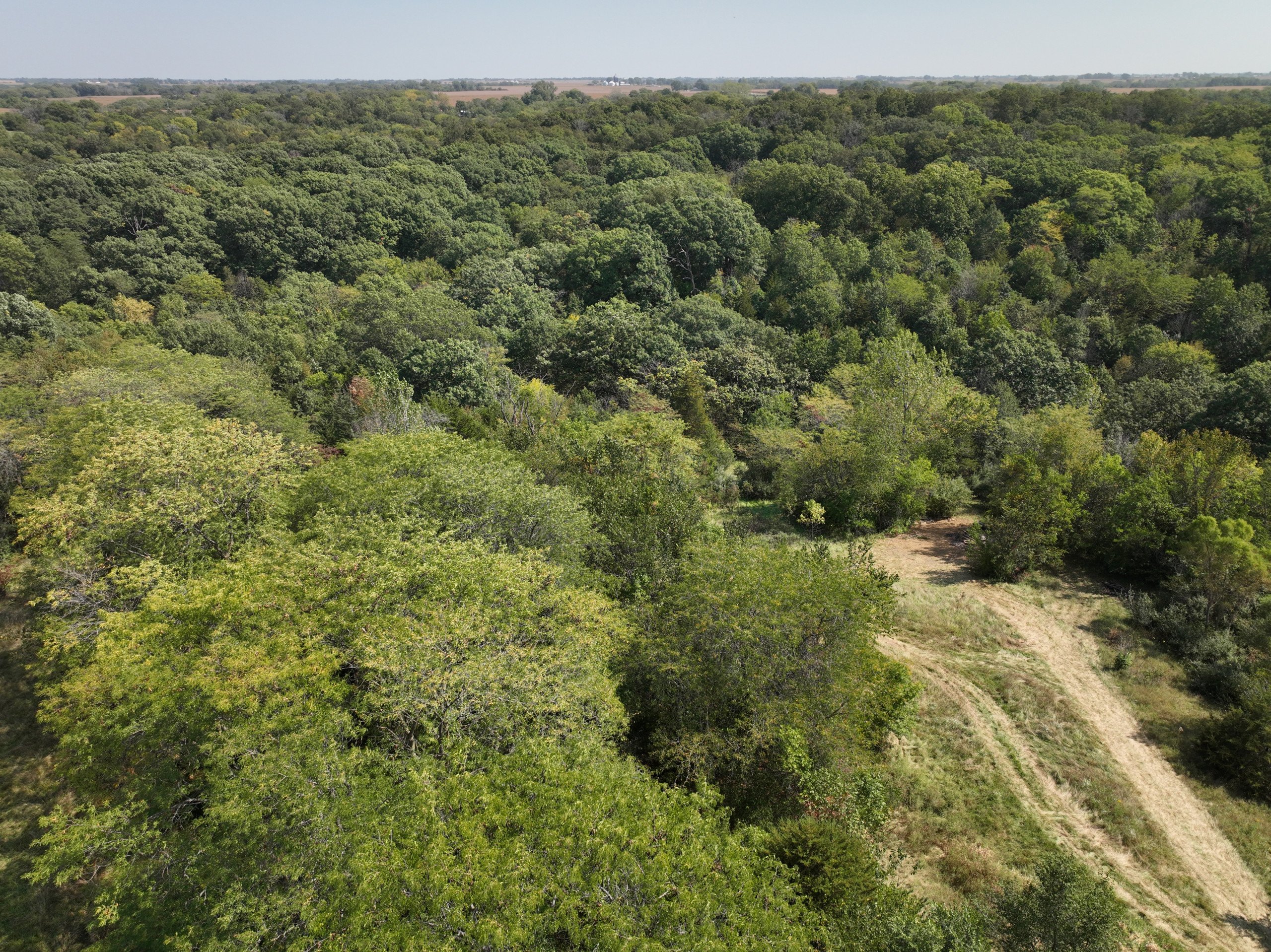 residential-land-warren-county-iowa-34-acres-listing-number-17112-DJI_0578-4.jpg