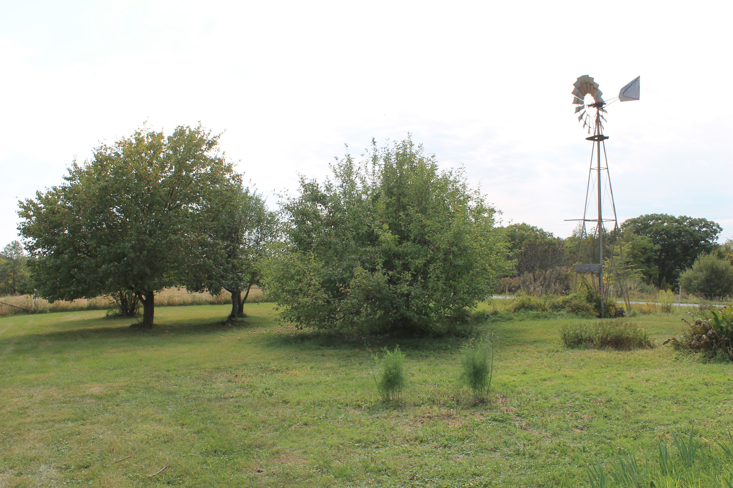 residential-land-warren-county-iowa-34-acres-listing-number-17112-IMG_5335-4.jpg